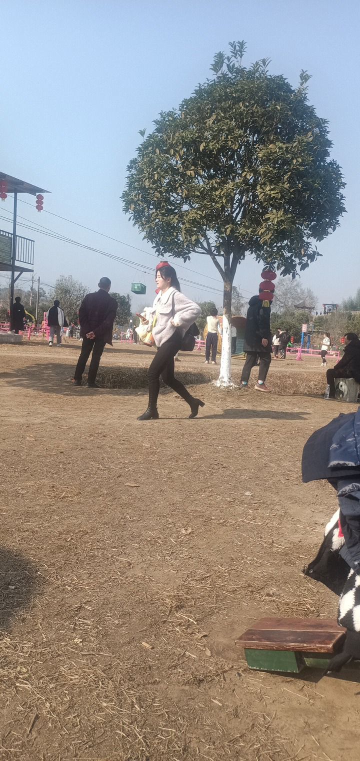 太极岛旅行图片 1
