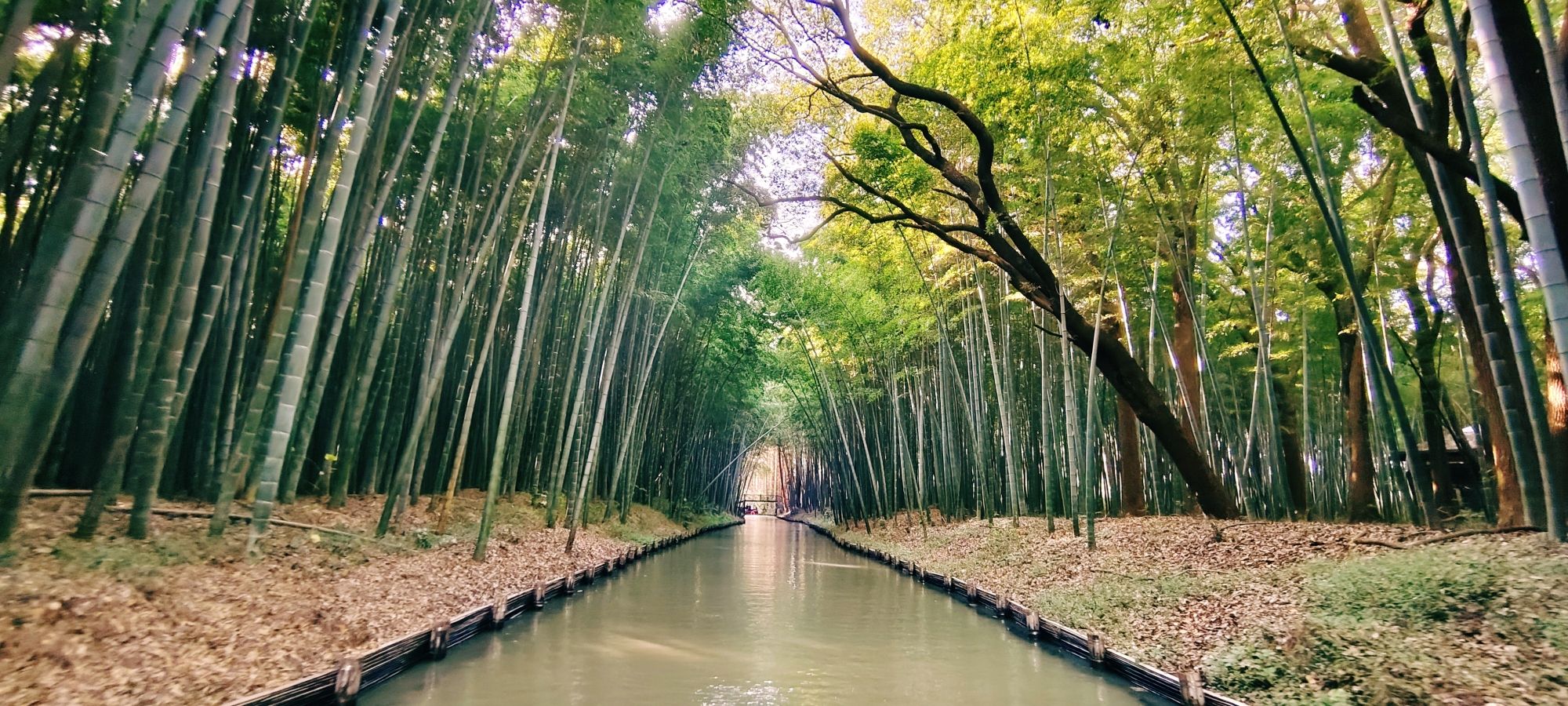 同里国家湿地公园旅行图片 2