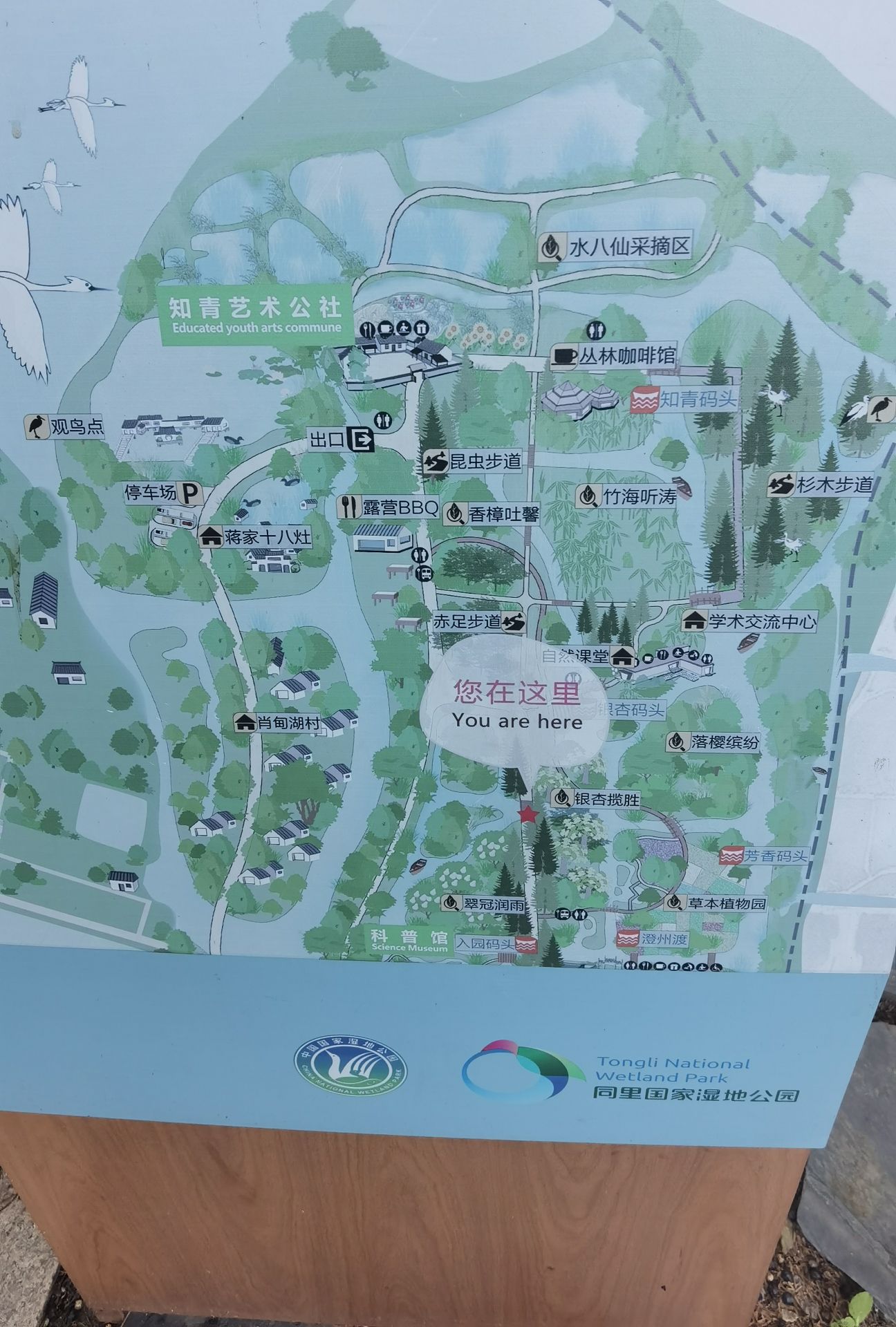 同里国家湿地公园旅行图片 3