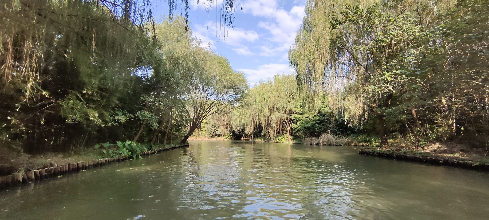 同里国家湿地公园旅行图片 3