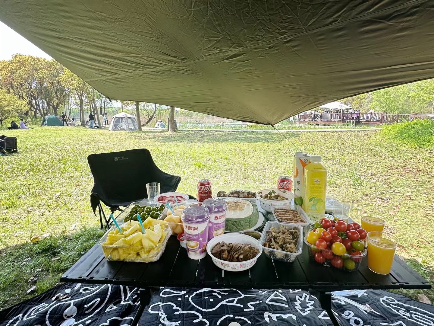 同里国家湿地公园旅行图片 1
