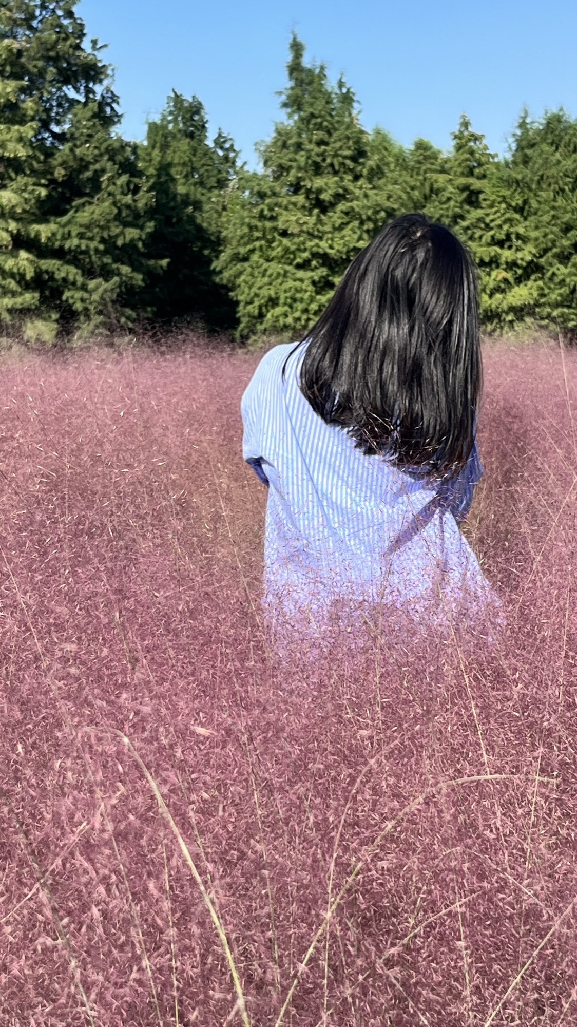 同里国家湿地公园旅行图片 2