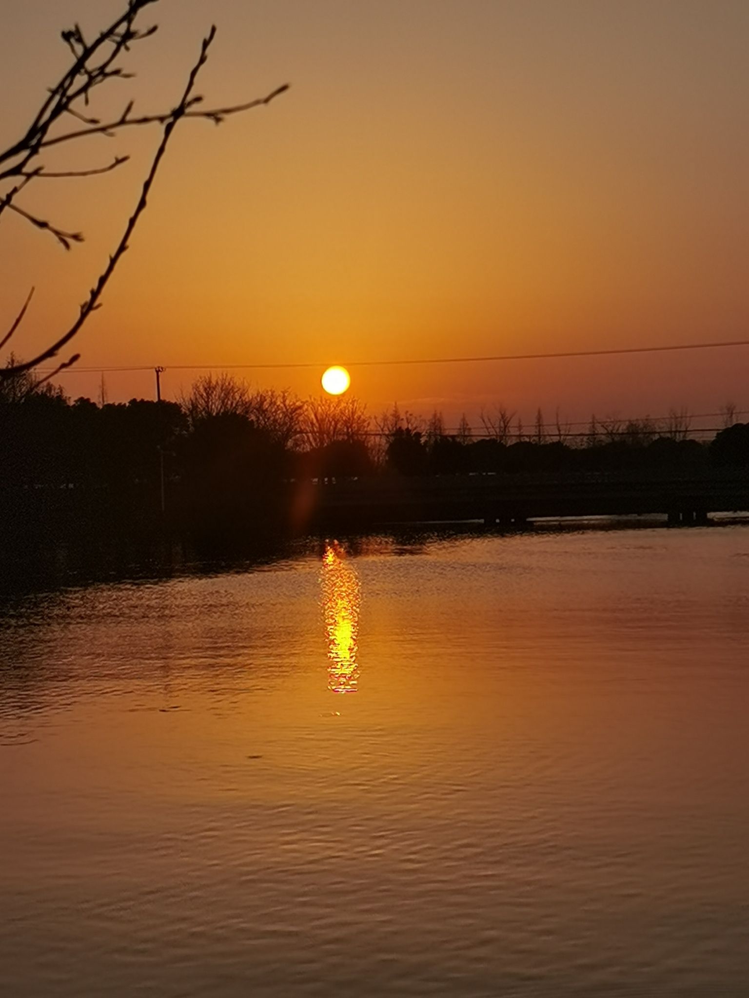 同里国家湿地公园旅行图片 1