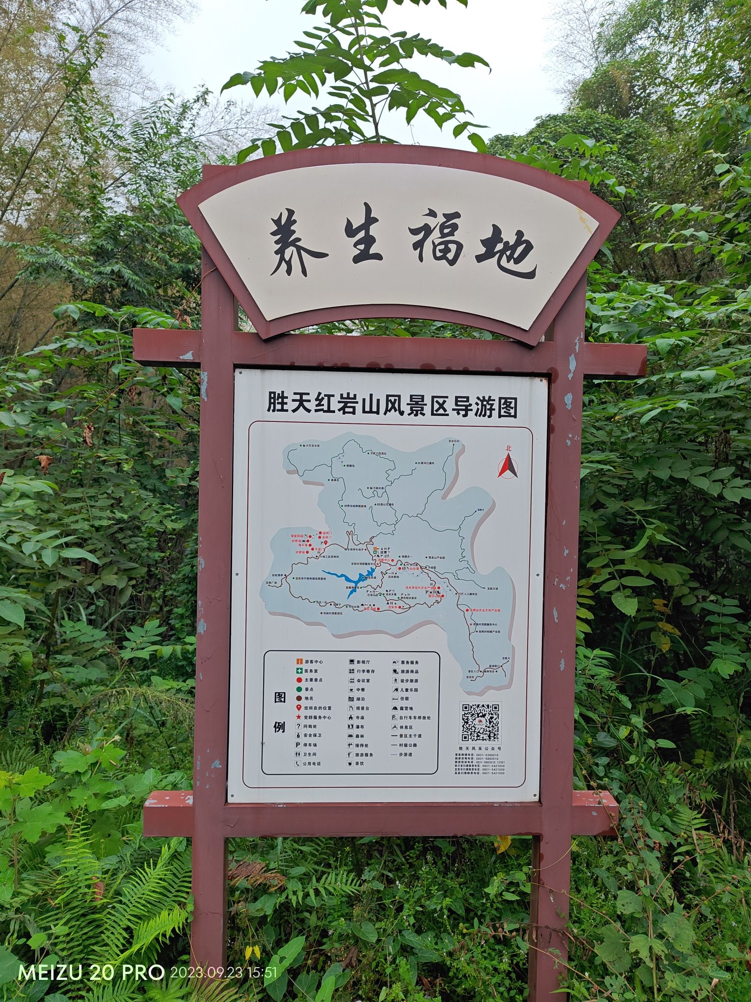 桫椤海旅行图片 1