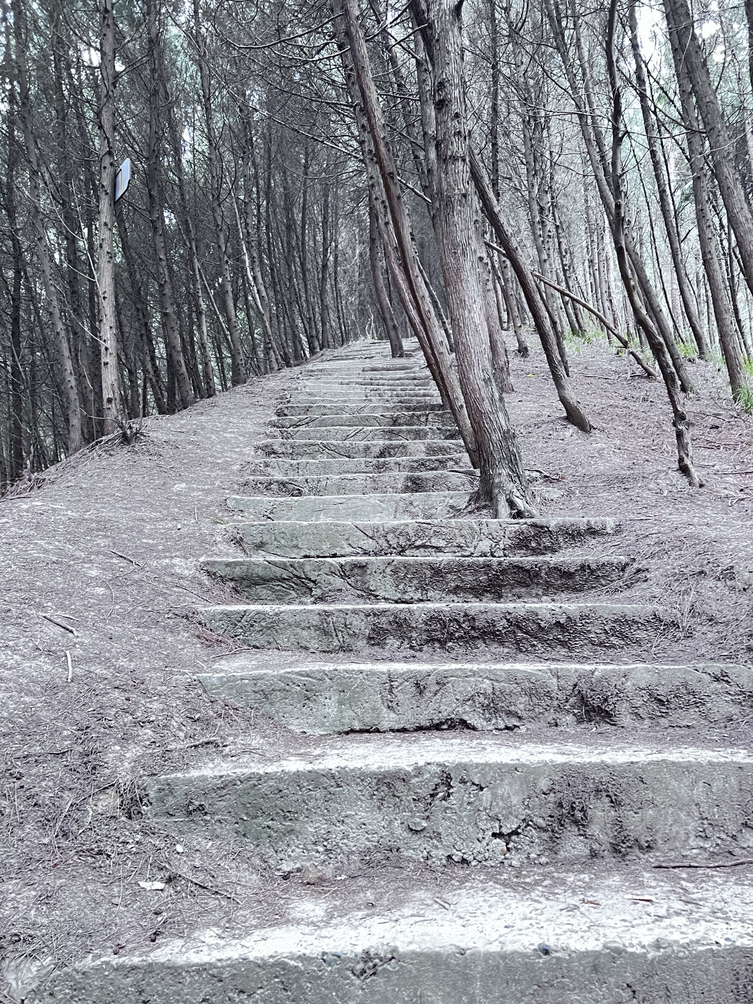 百福寺森林自然公园旅行图片 2