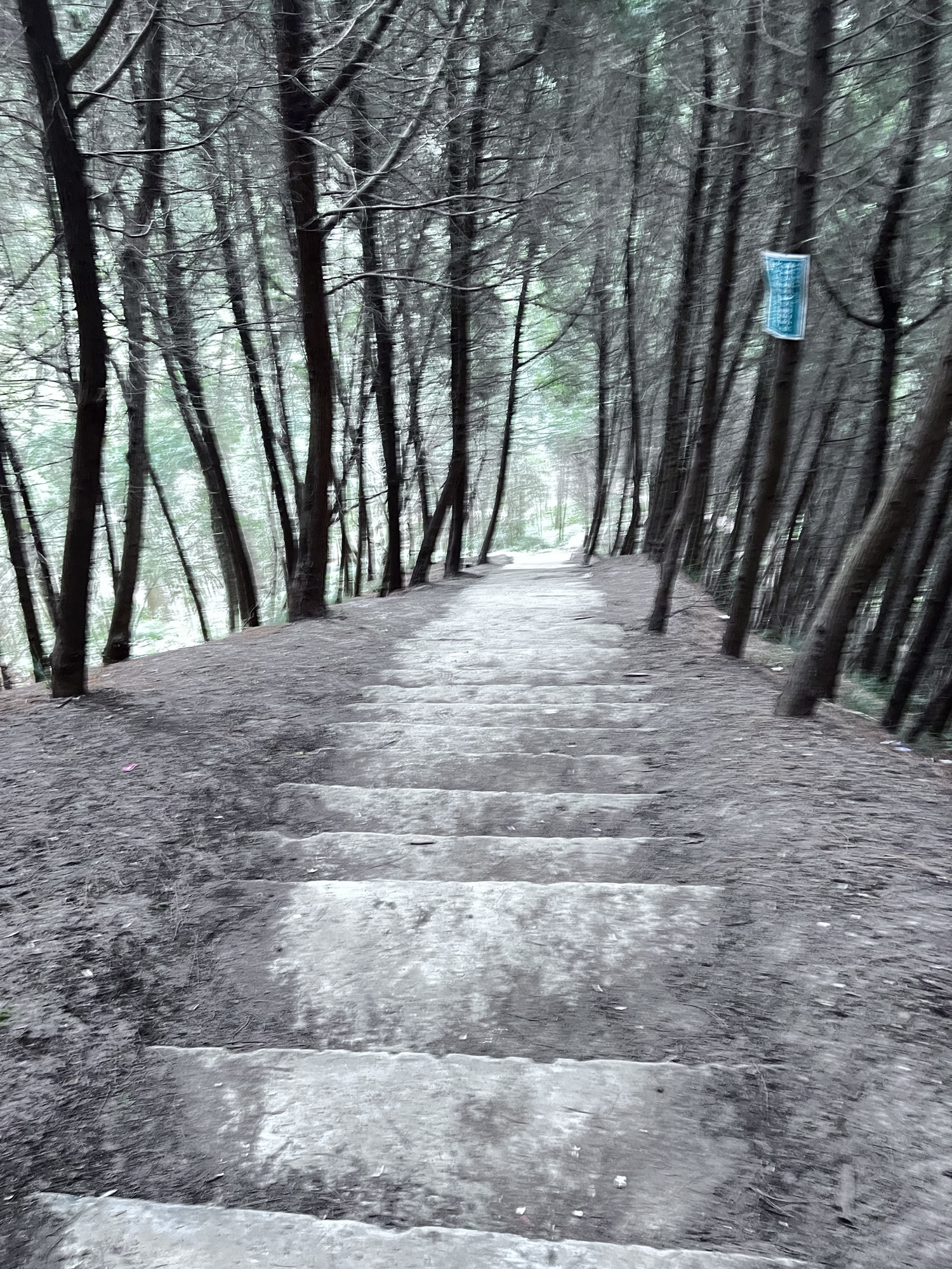 百福寺森林自然公园旅行图片 3