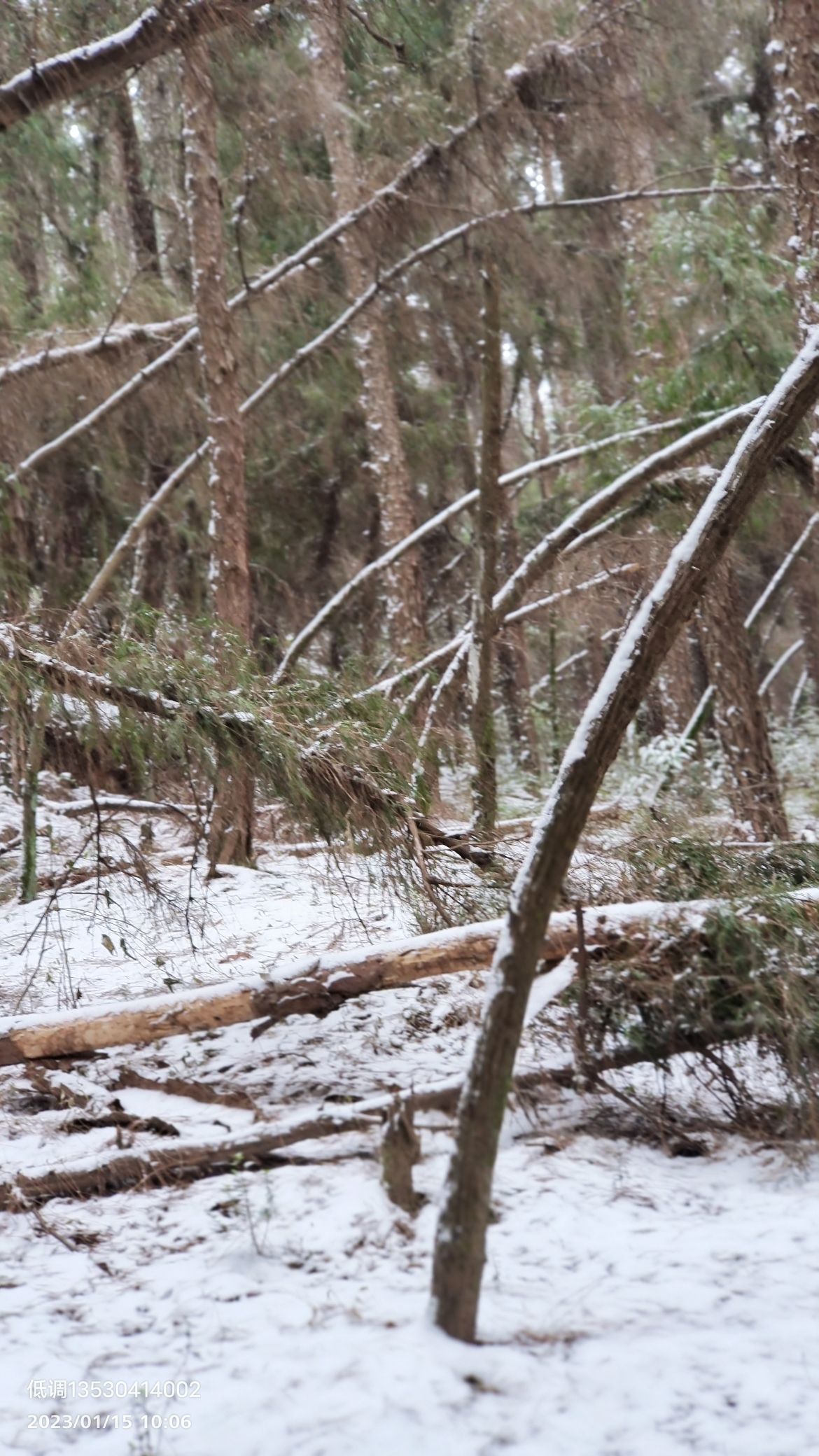 百福寺森林自然公园旅行图片 3