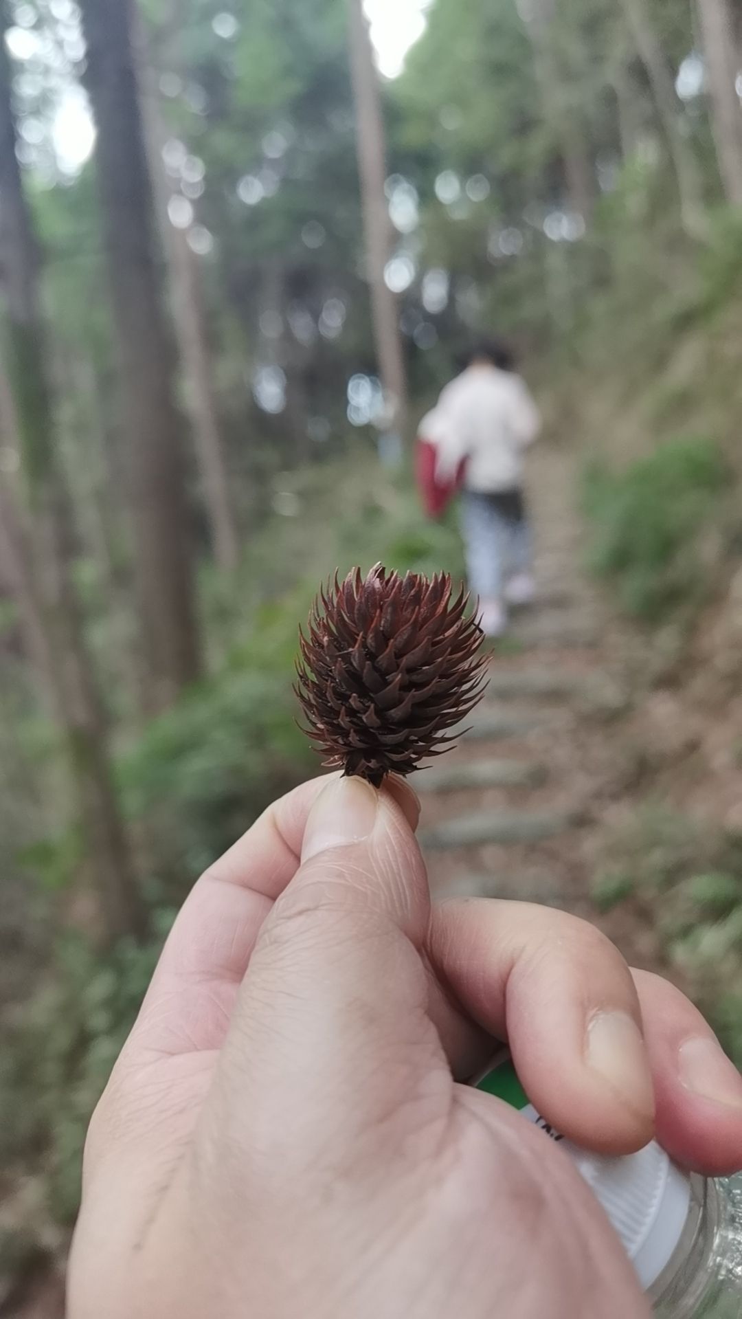 百福寺森林自然公园旅行图片 1