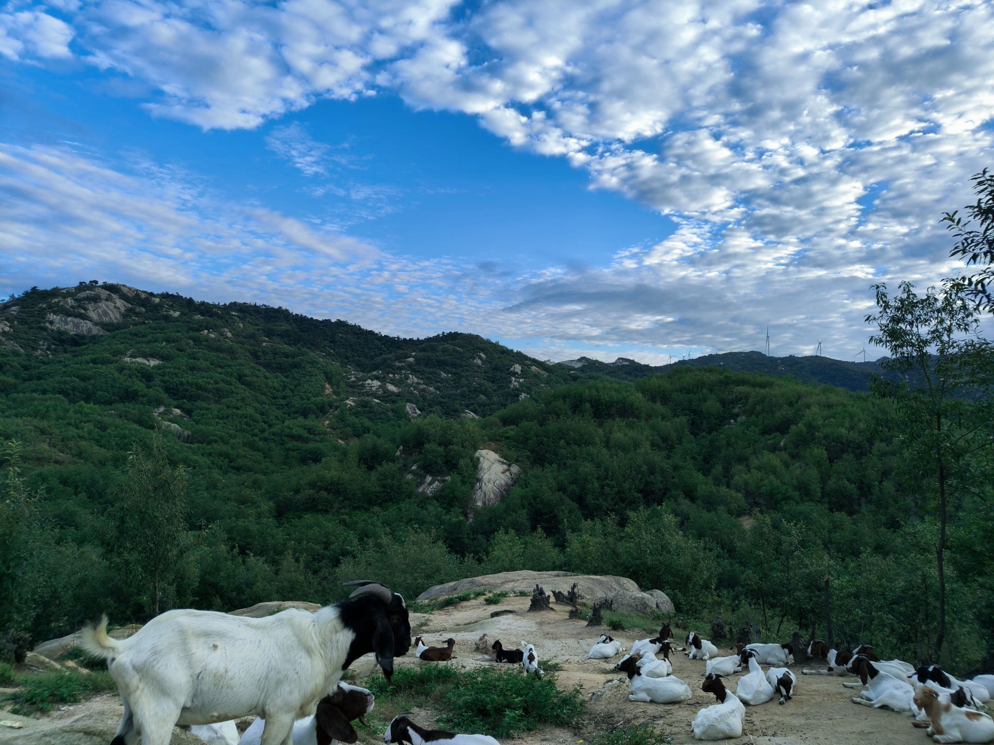 方城县摩崖石刻旅行图片 1