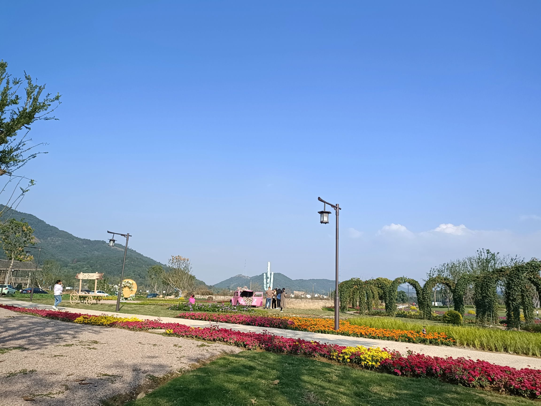 王溪湿地旅行图片 2