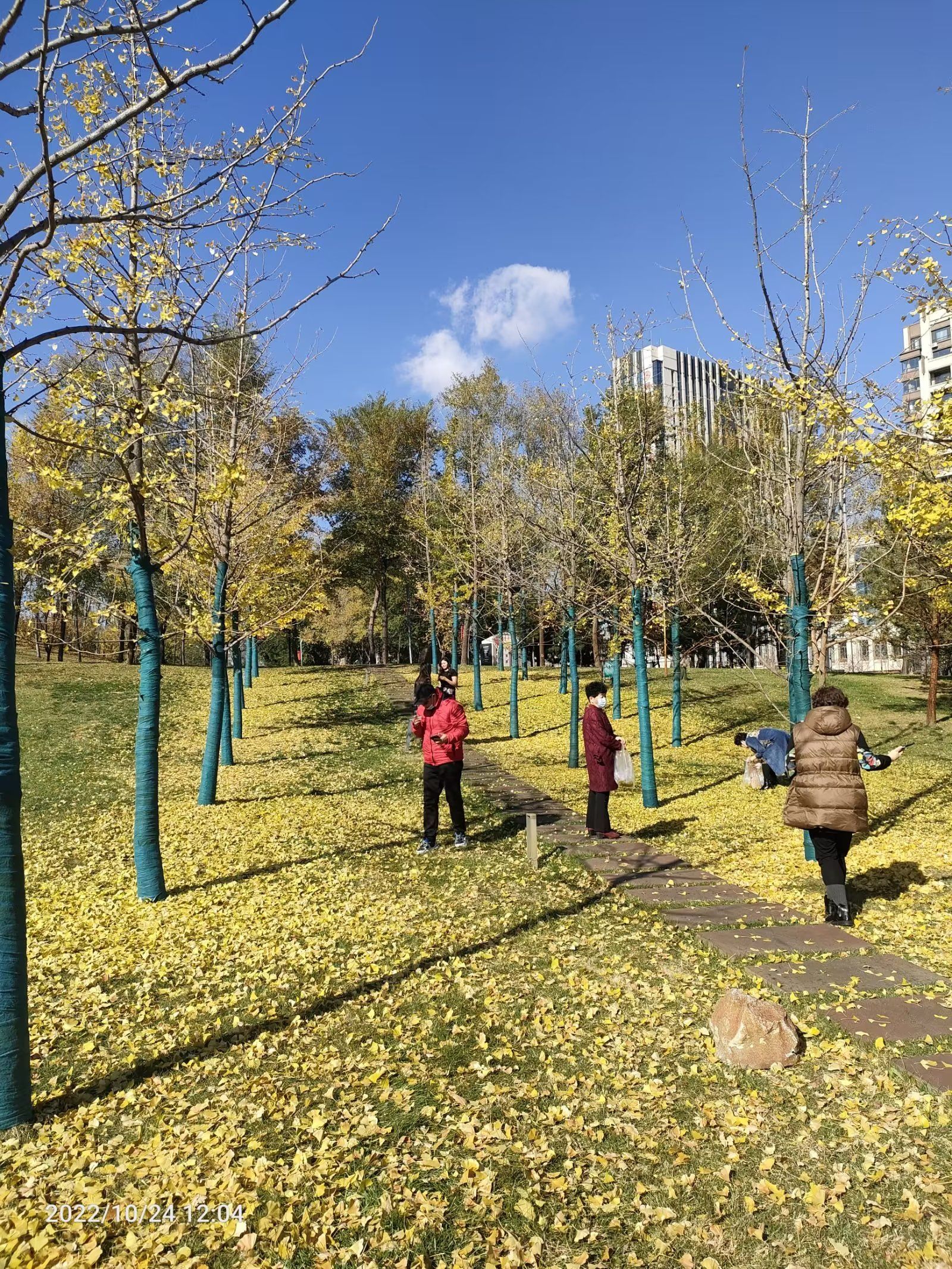 梅河口市辉发河湿地公园旅行图片 3