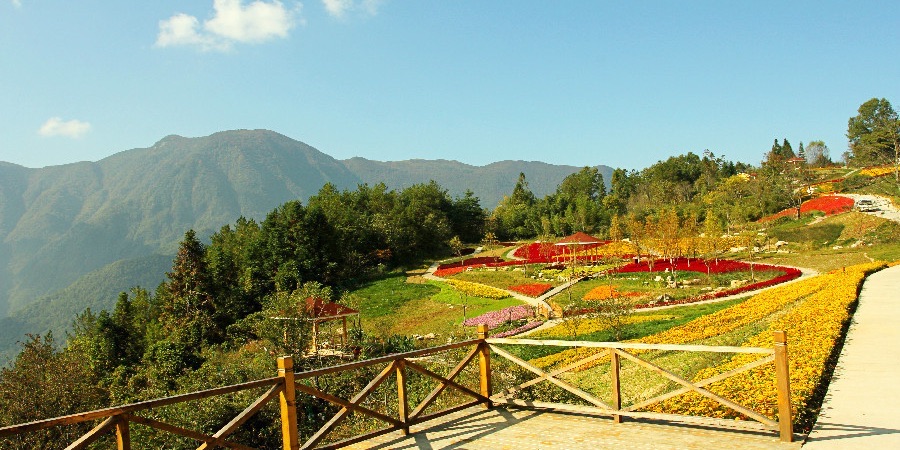 贝壳山森林公园旅行图片 2