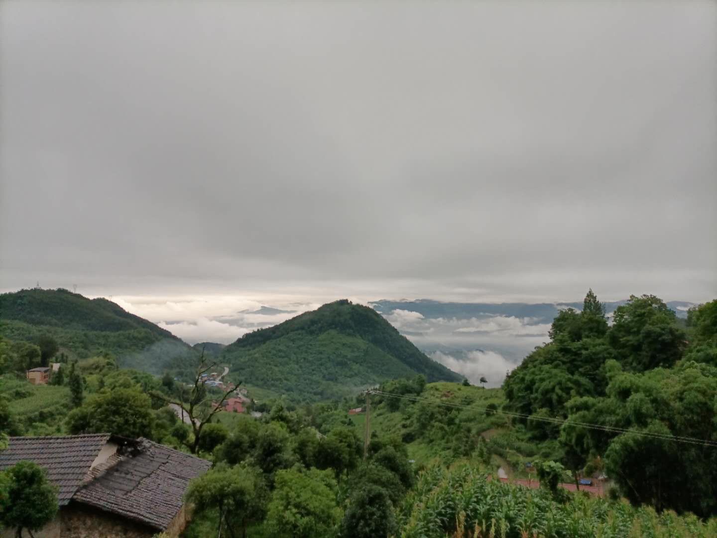 贝壳山森林公园旅行图片 1