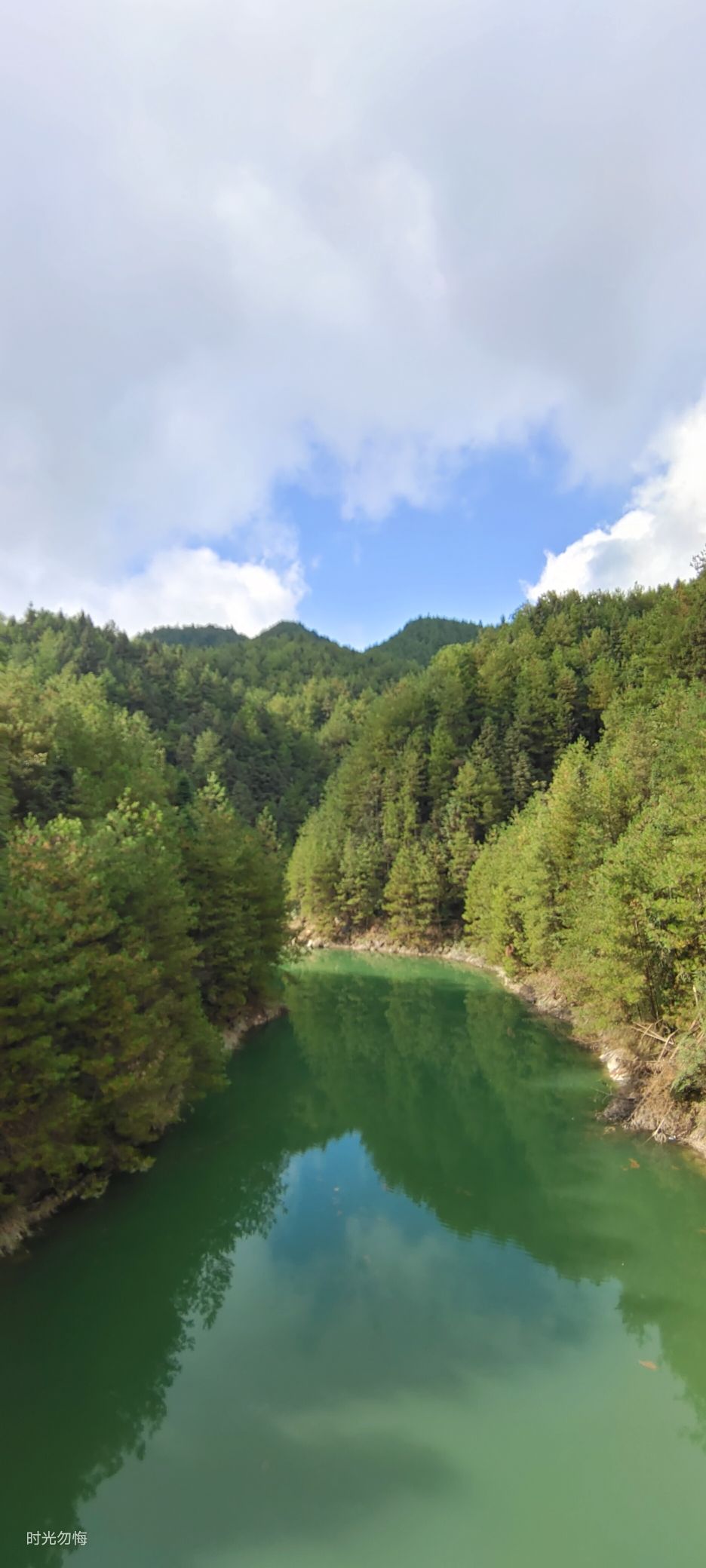 贝壳山森林公园旅行图片 3