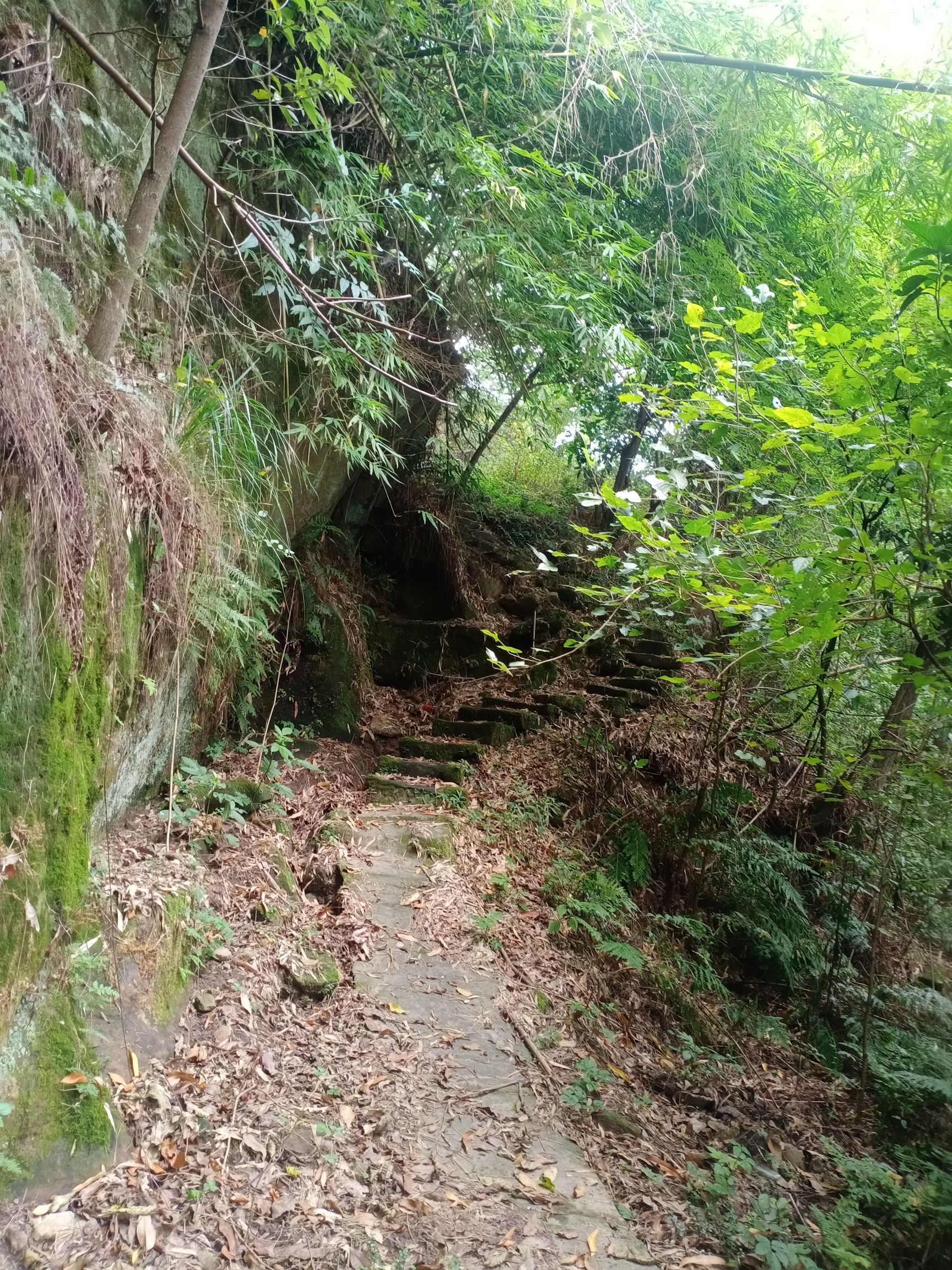百佛景点旅行图片 2
