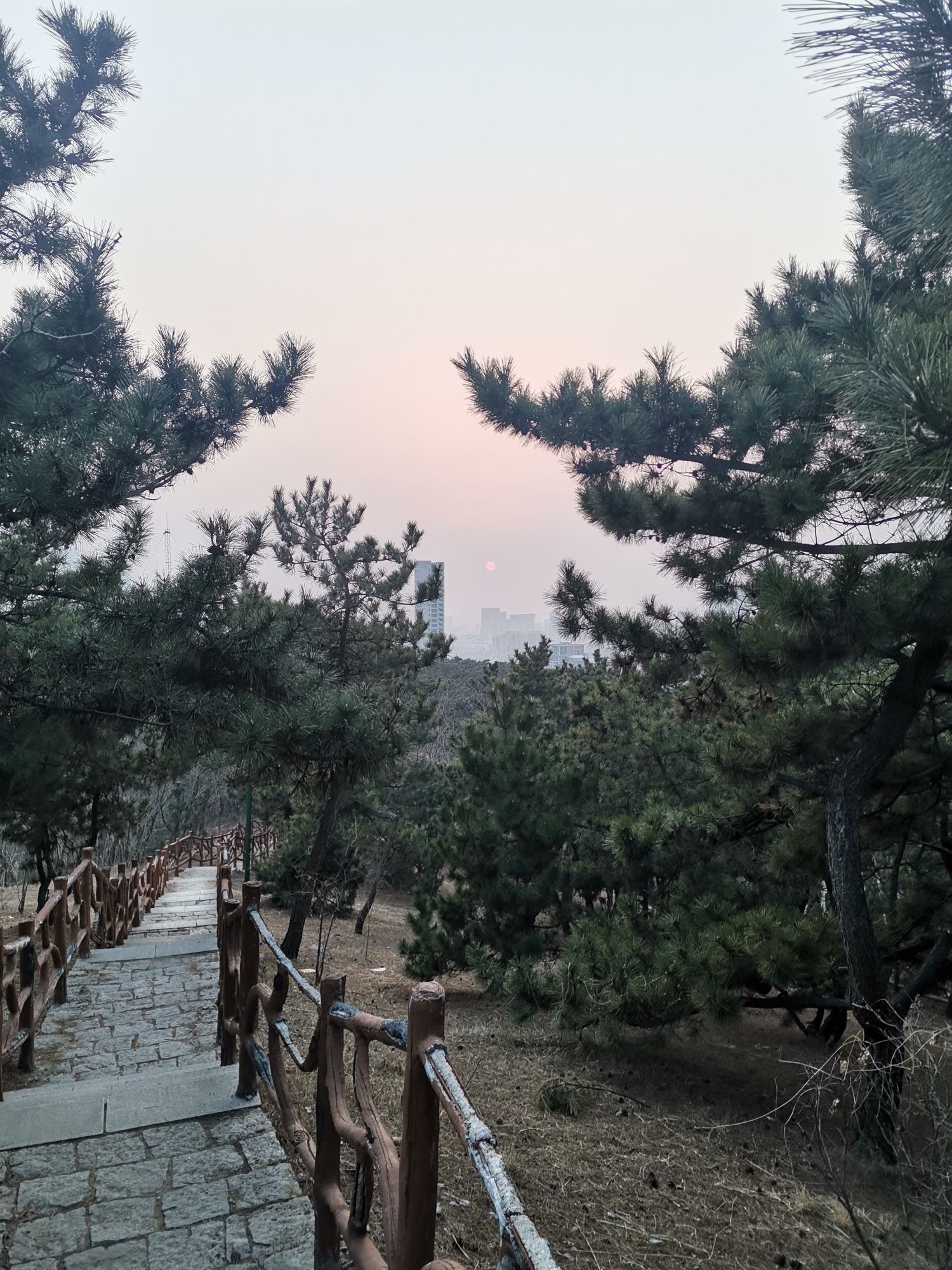 夹岭山公园旅行图片 3