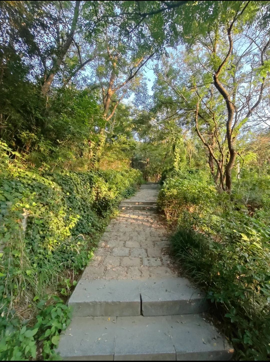 夹岭山公园旅行图片 2