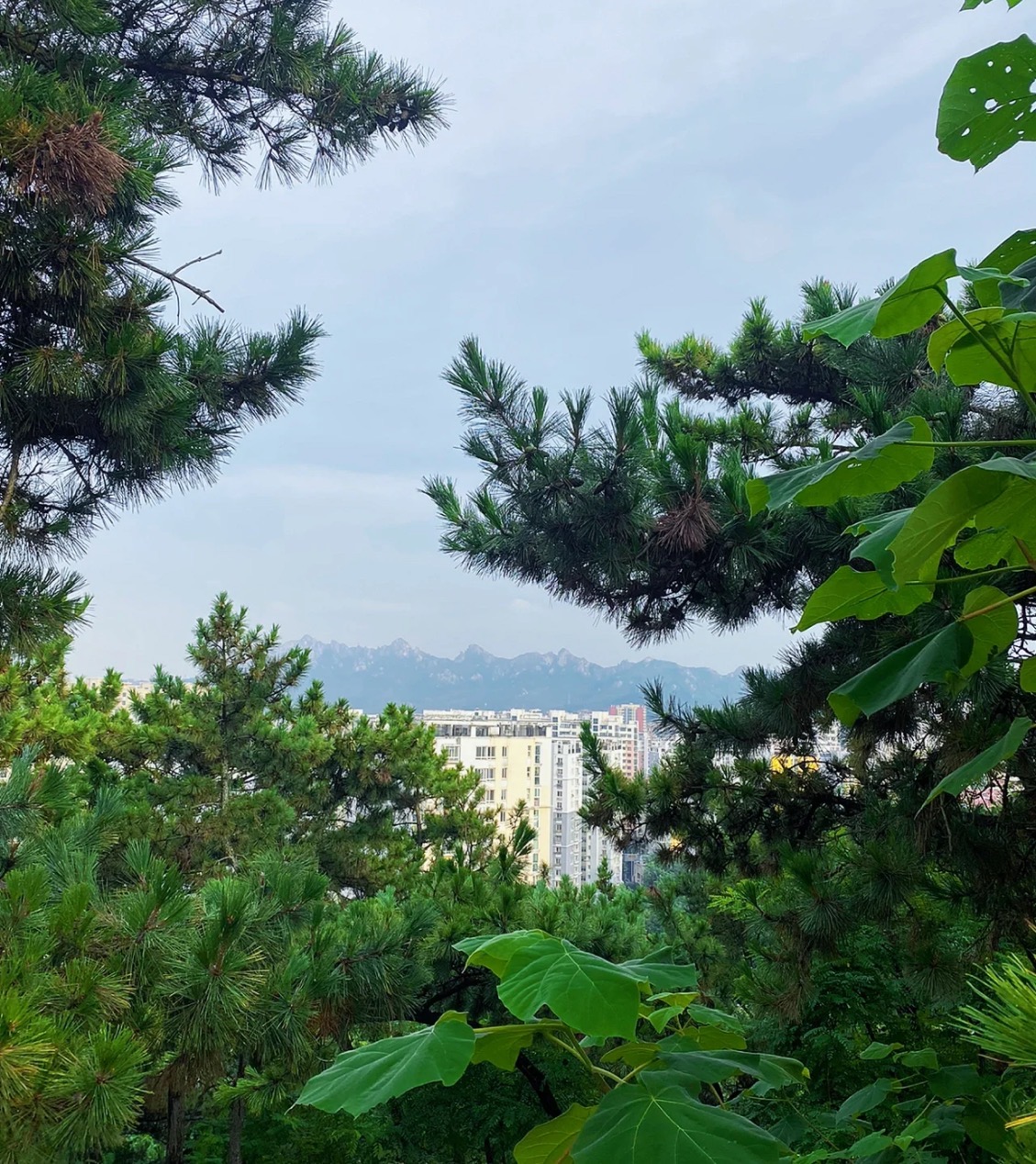 夹岭山公园旅行图片 2