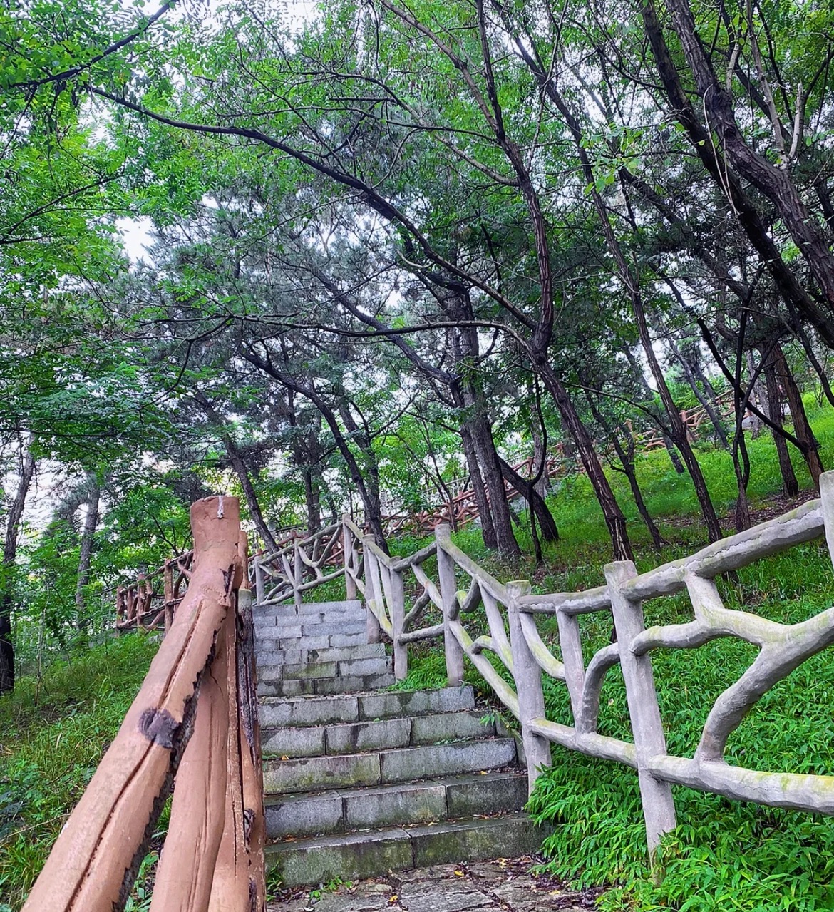 夹岭山公园旅行图片 1