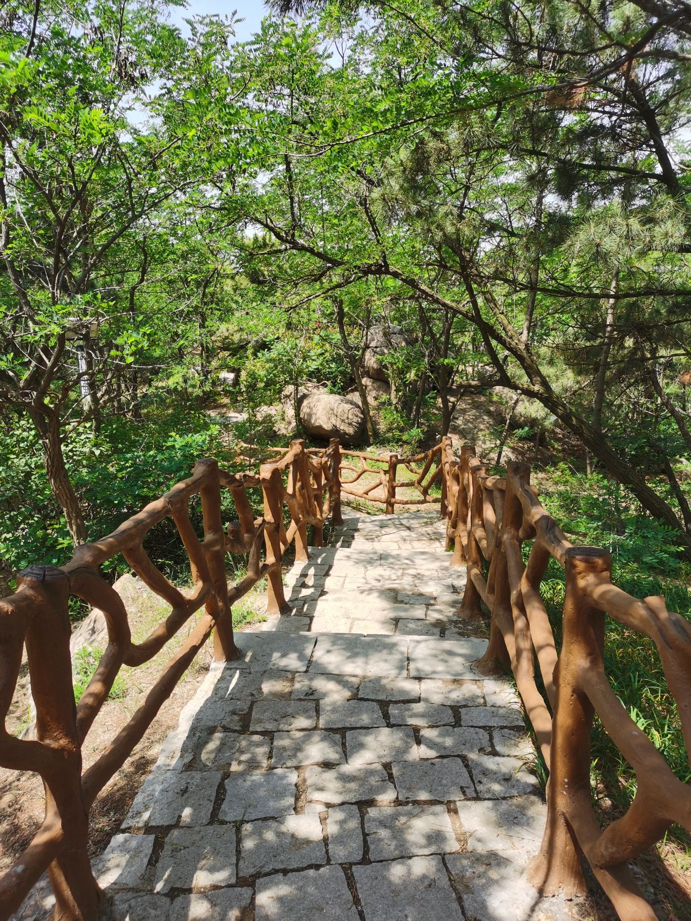 夹岭山公园旅行图片 2