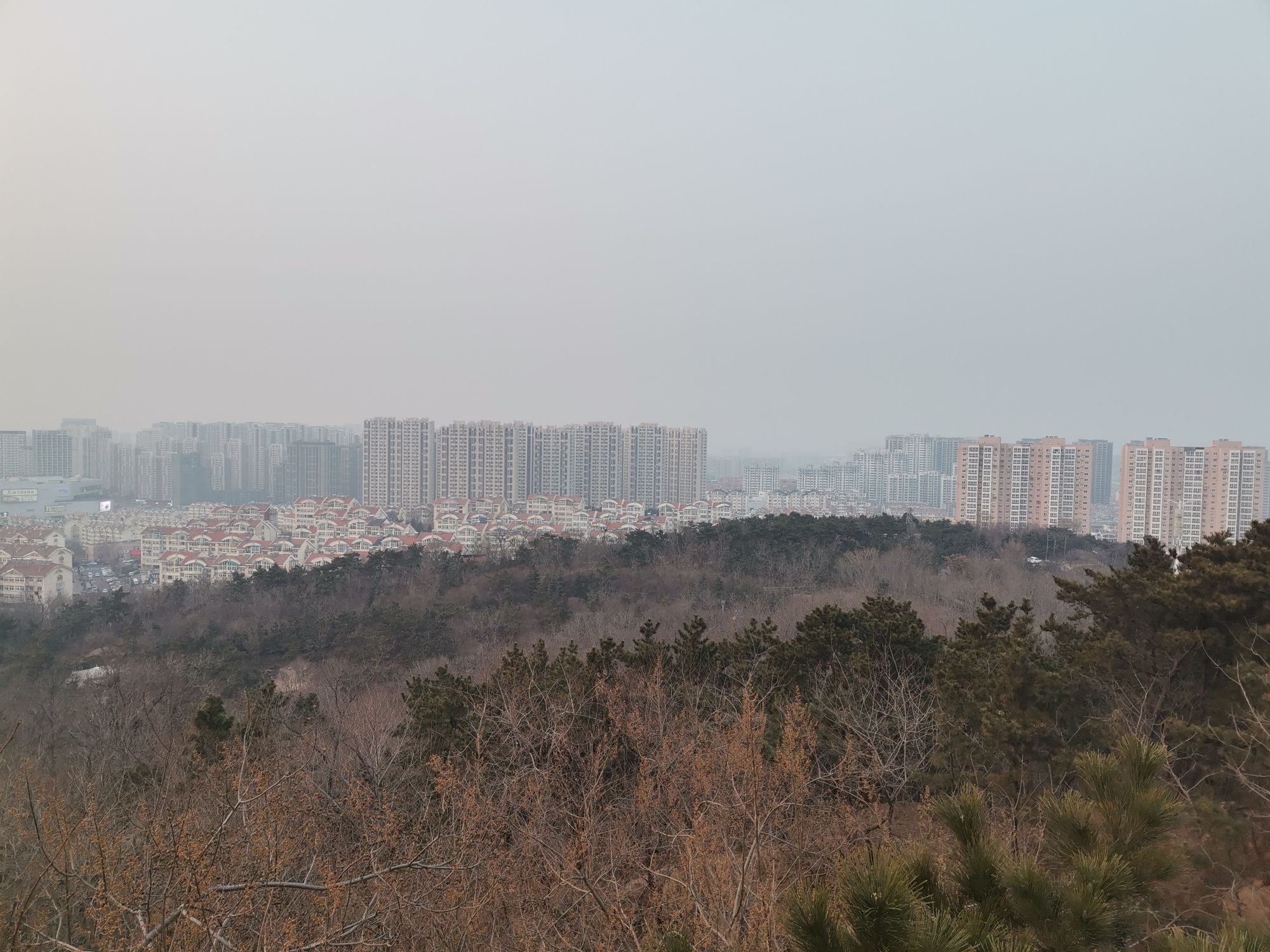 夹岭山公园旅行图片 1