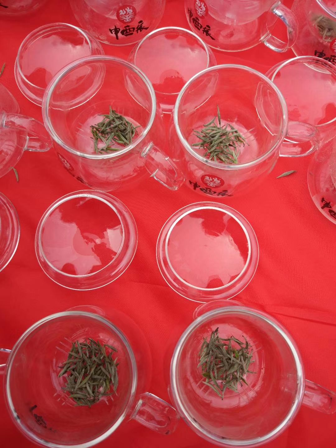 明威茶园牧歌旅行图片 3