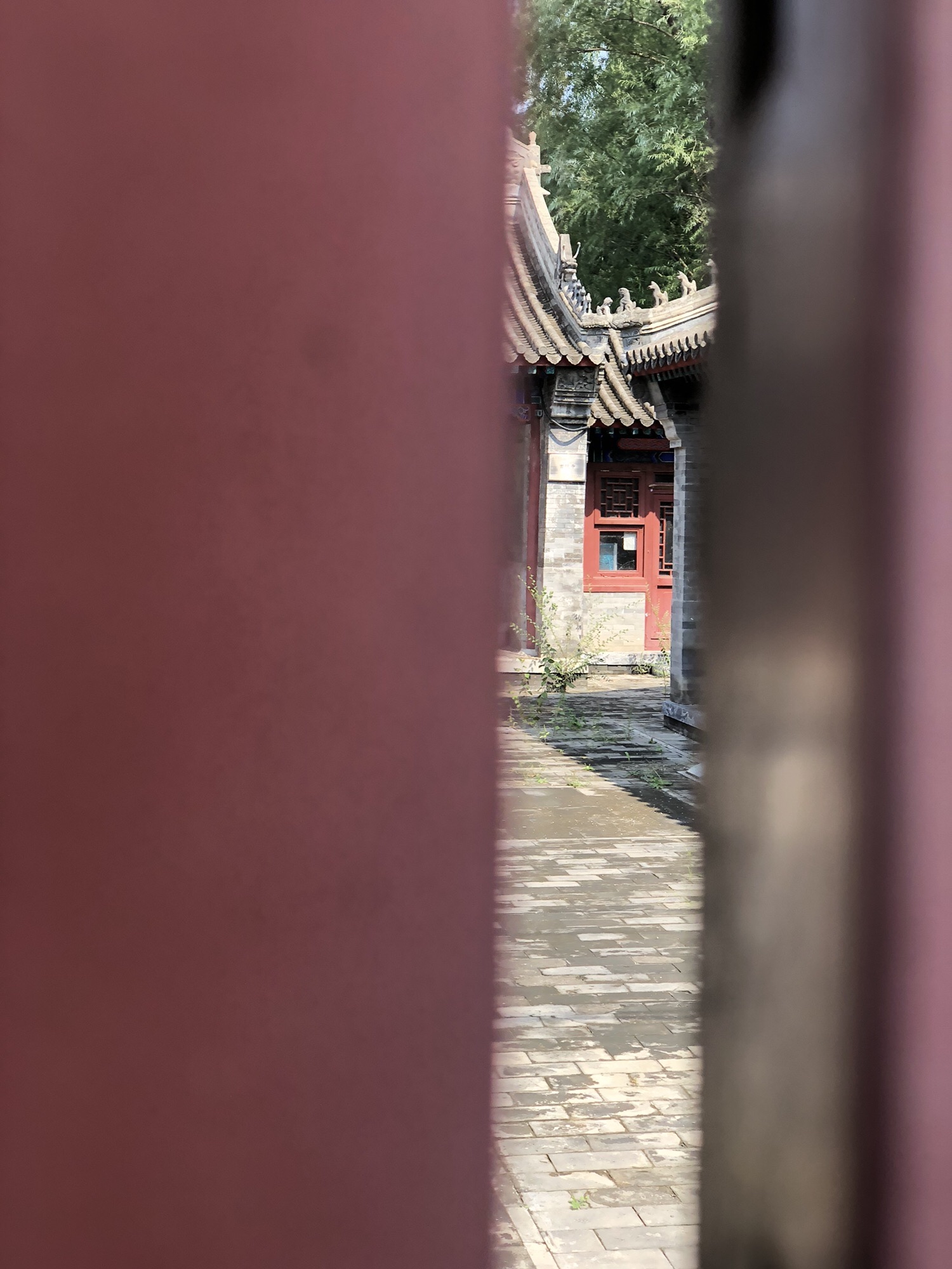 古槐寺旅行图片 3