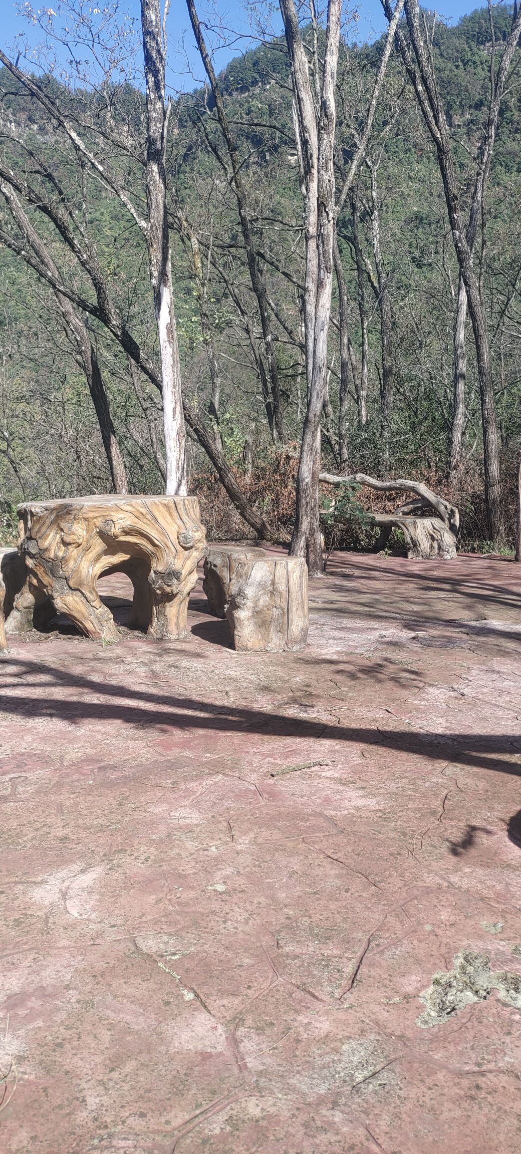 廪君山风景名胜区旅行图片 3