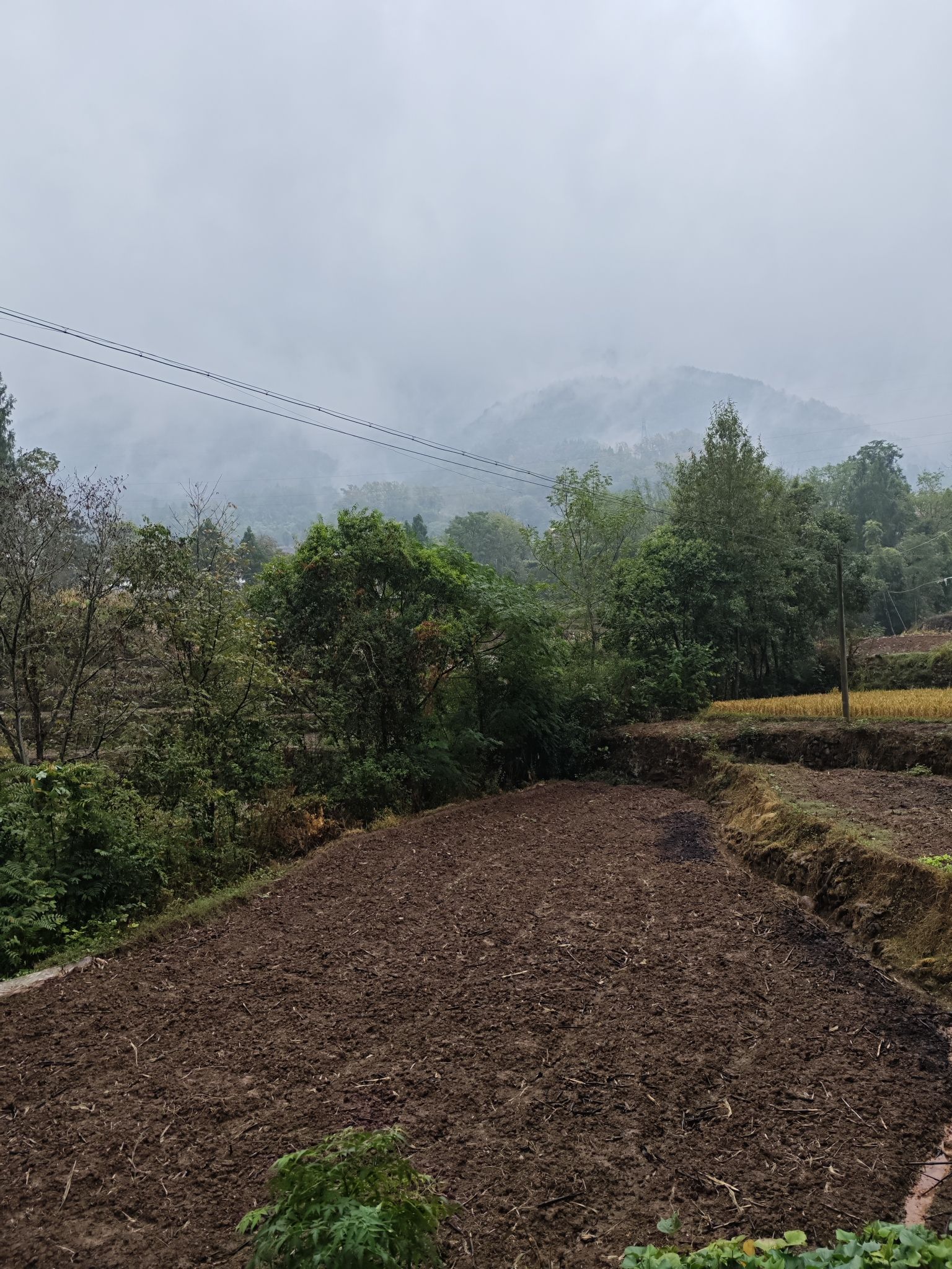 廪君山风景名胜区旅行图片 3