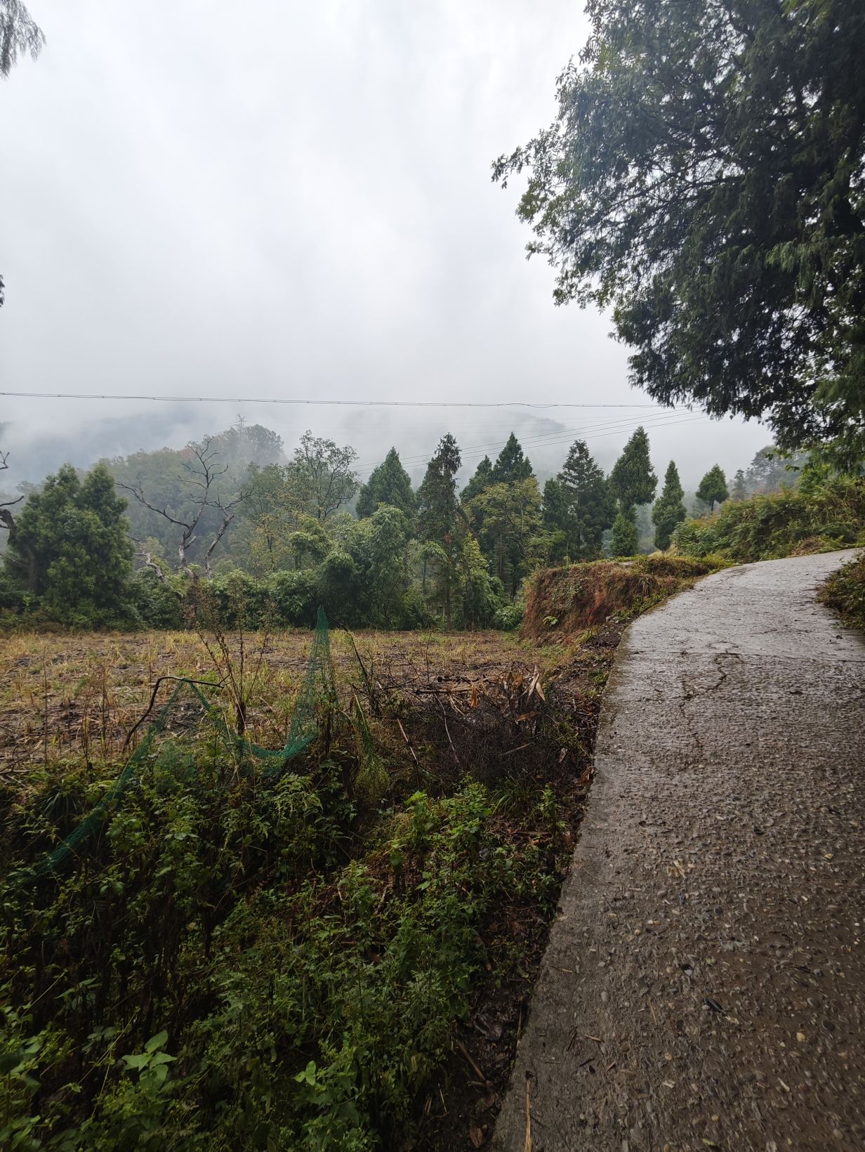 廪君山风景名胜区旅行图片 2