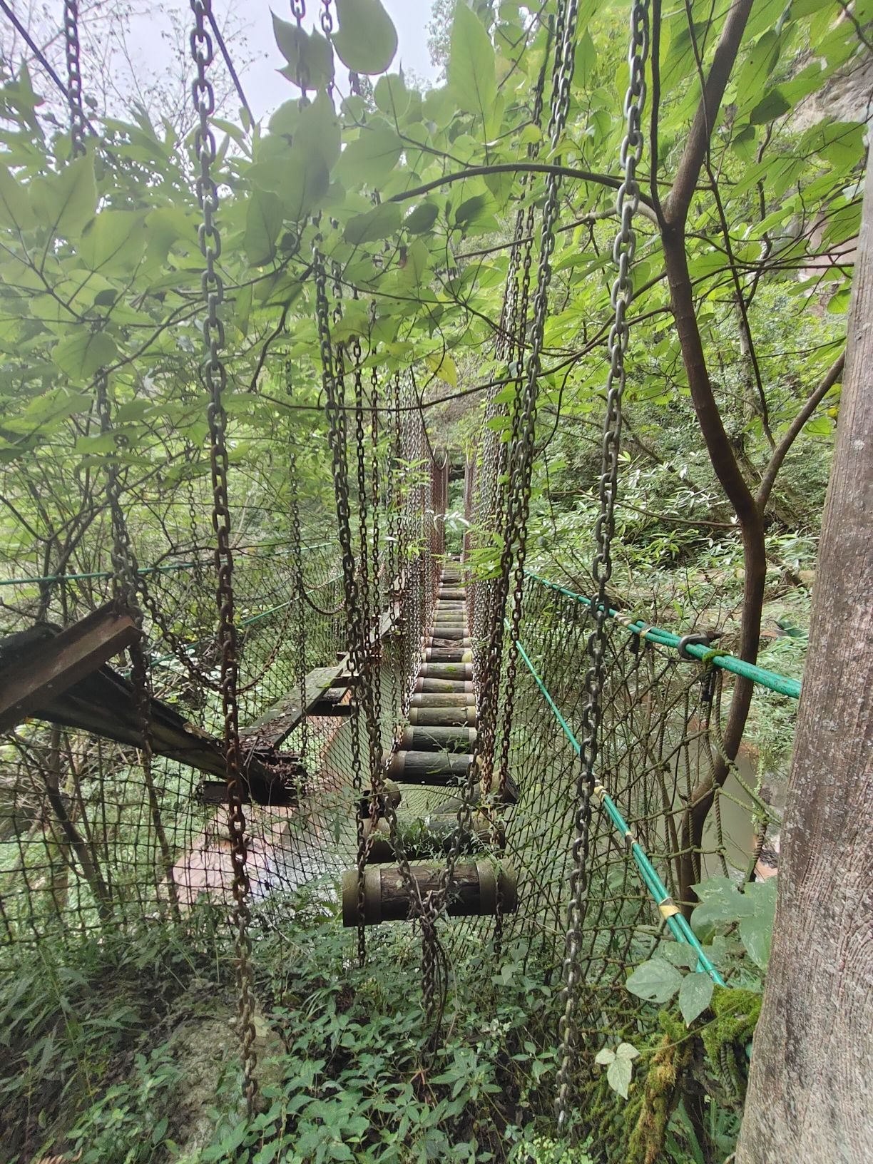 廪君山风景名胜区旅行图片 3