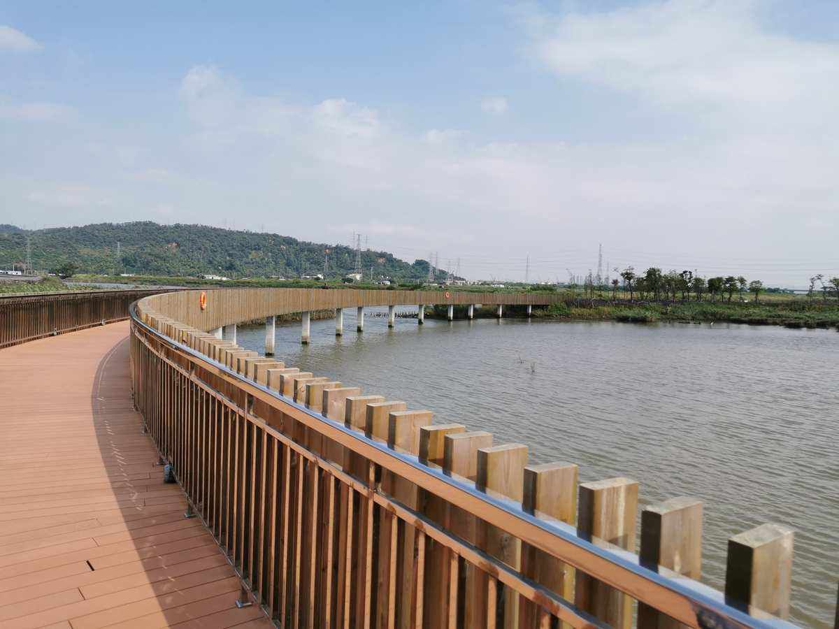 金湾中心河湿地公园旅行图片 3