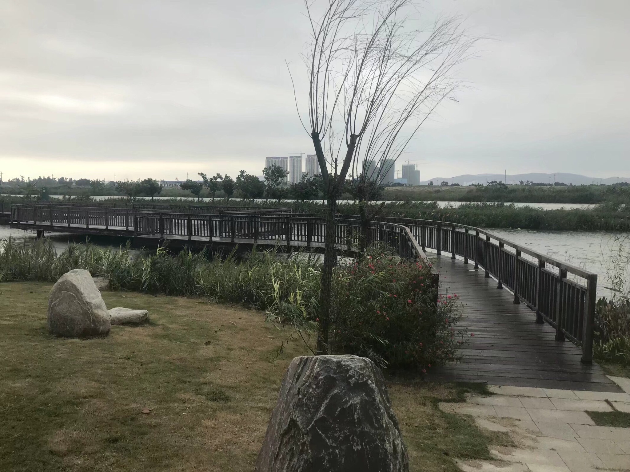 金湾中心河湿地公园旅行图片 2