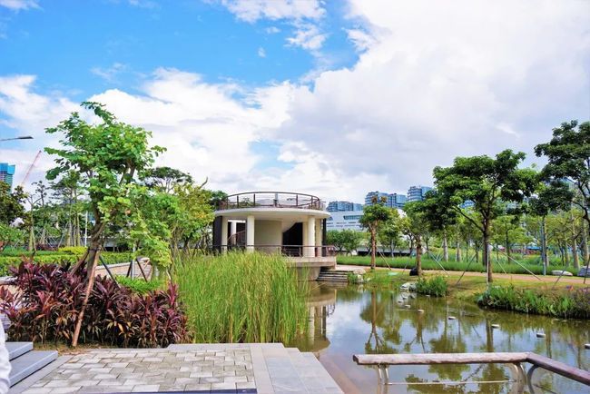 金湾中心河湿地公园旅行图片 2