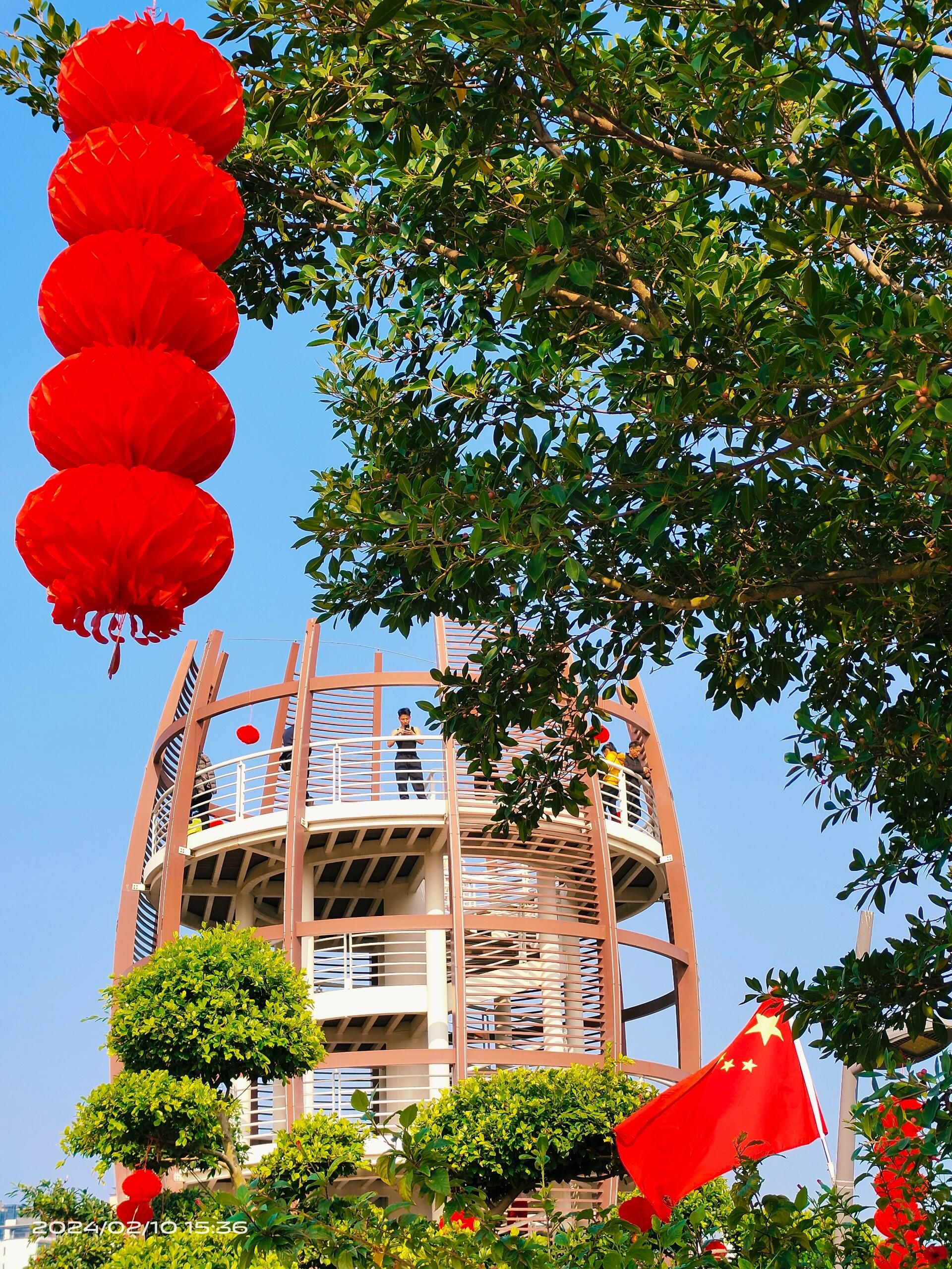金湾中心河湿地公园旅行图片 2