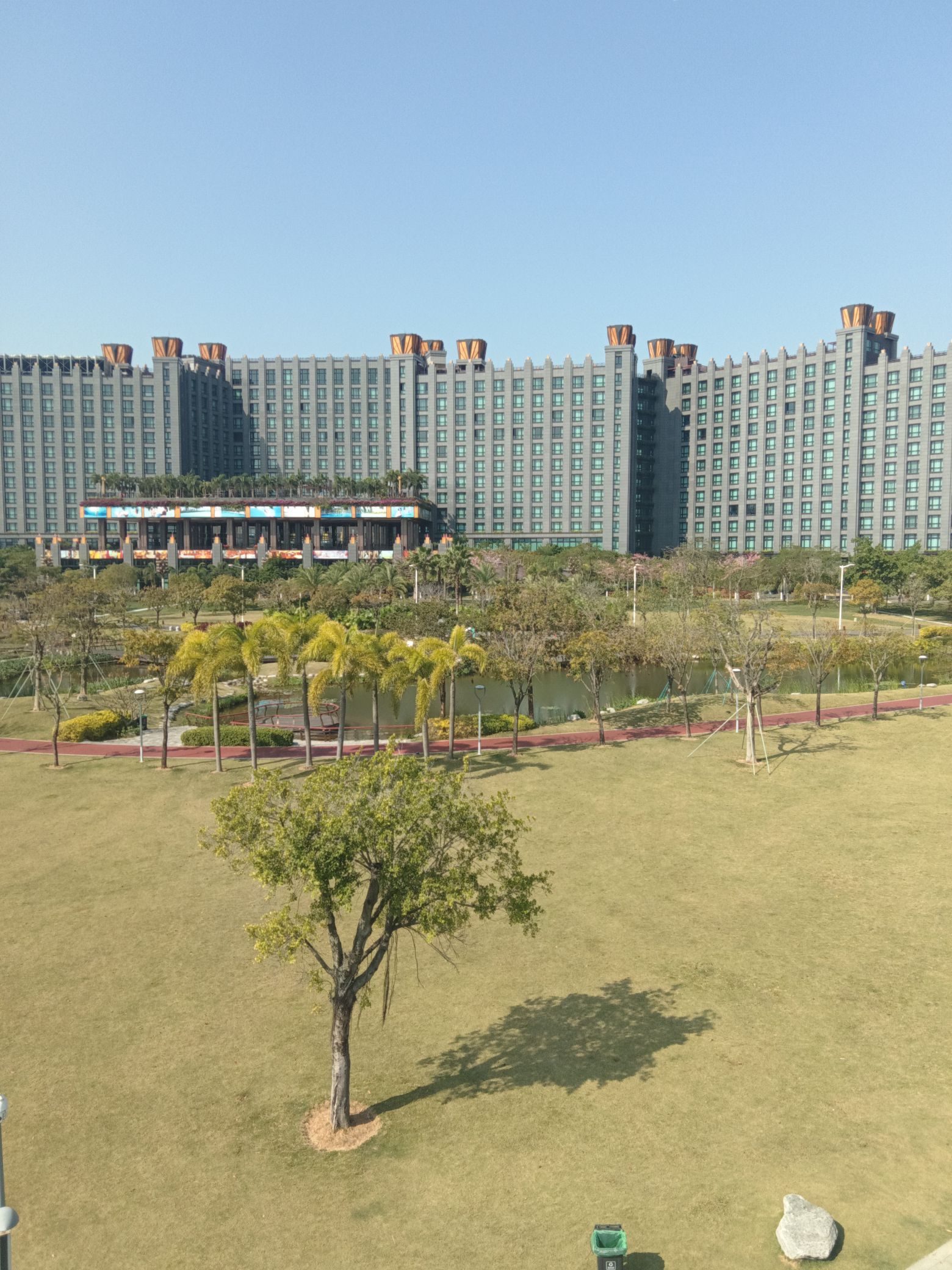 金湾中心河湿地公园旅行图片 1