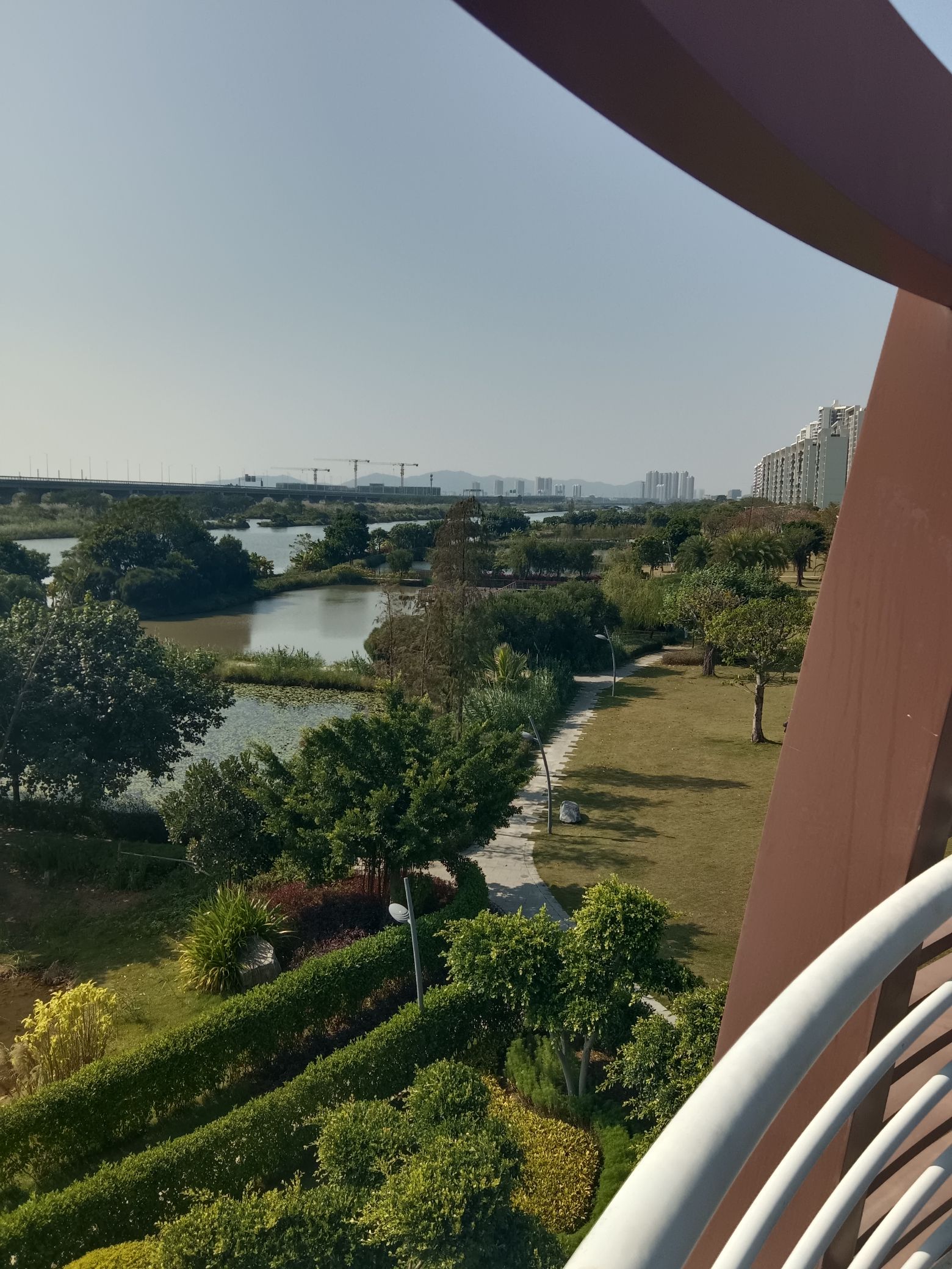 金湾中心河湿地公园旅行图片 2