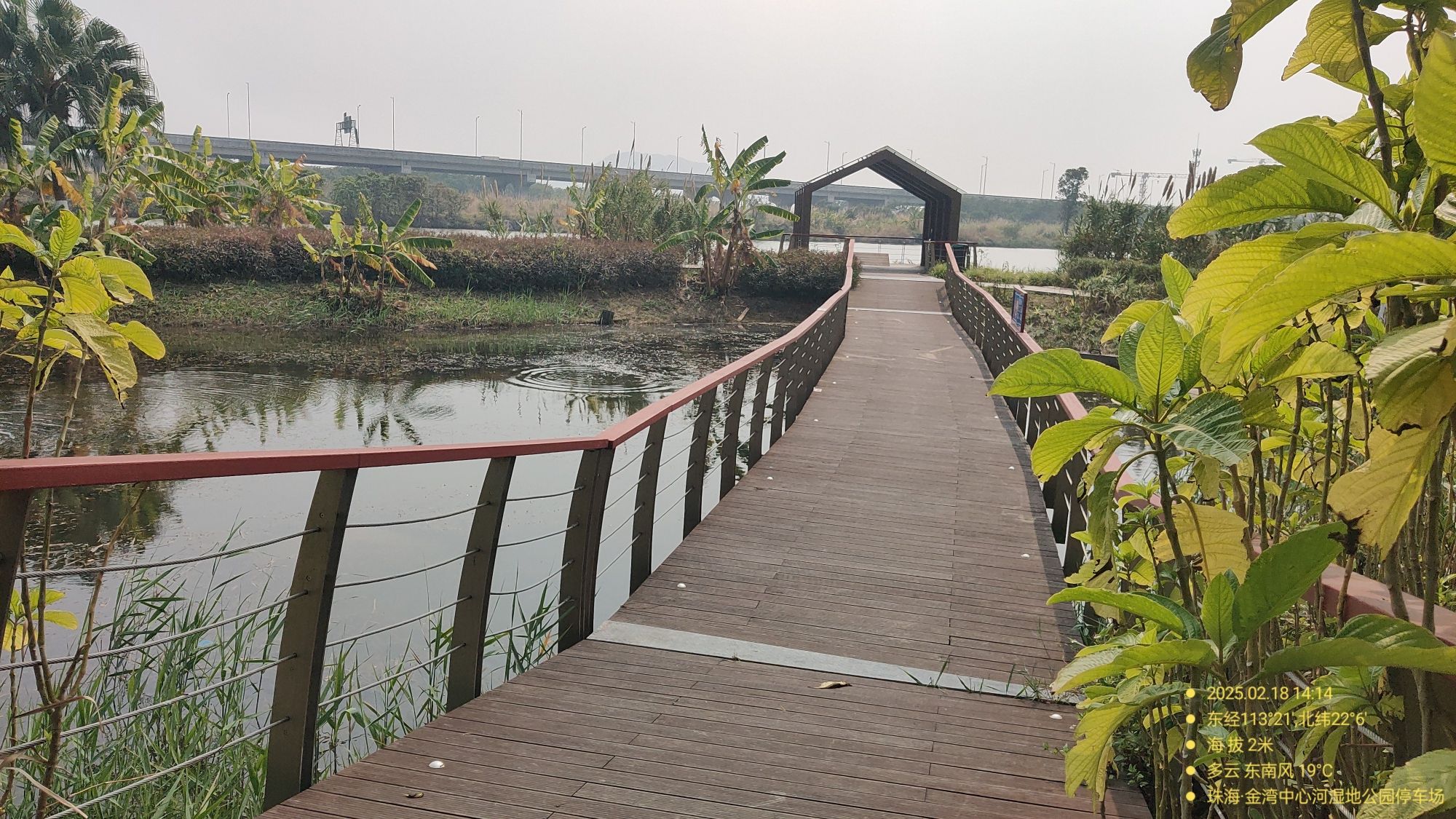 金湾中心河湿地公园旅行图片 2