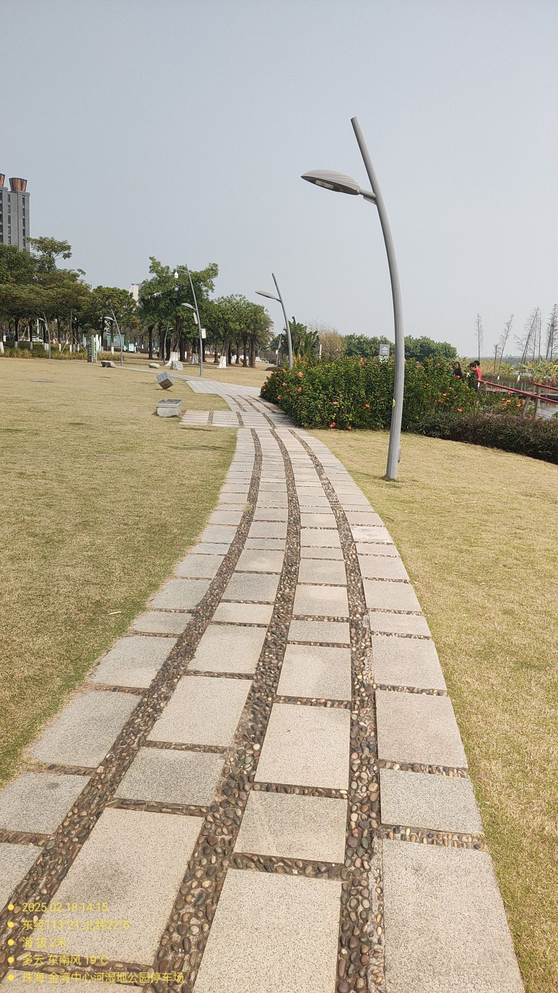 金湾中心河湿地公园旅行图片 3