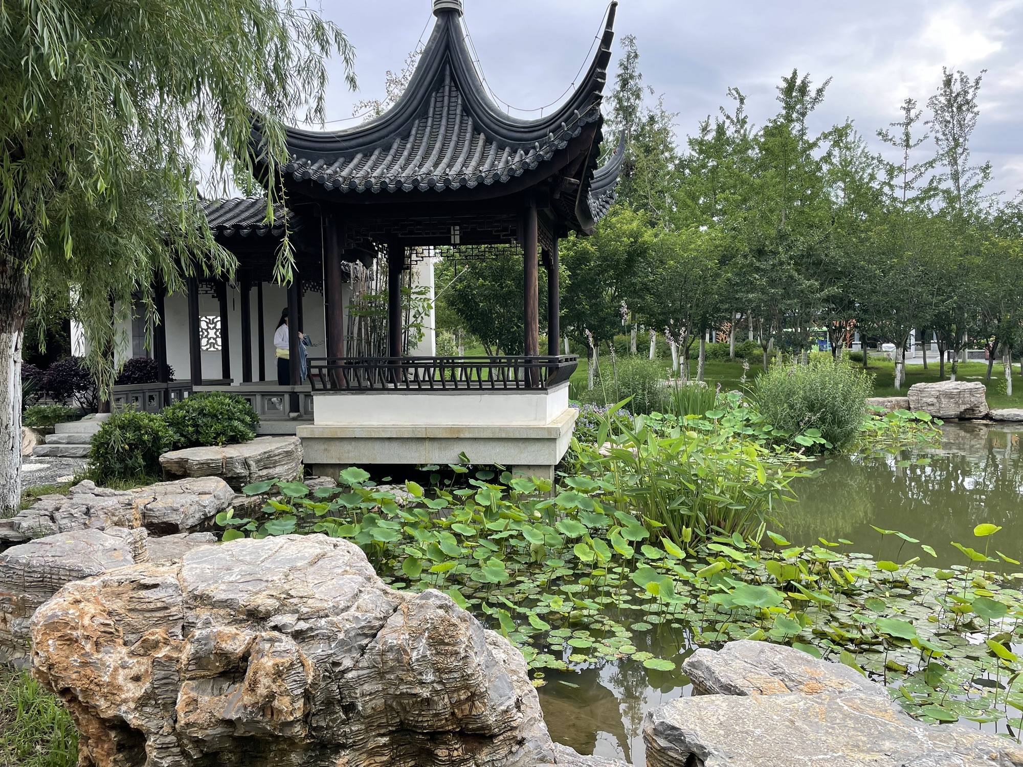 南阳世界月季大观园旅行图片 2