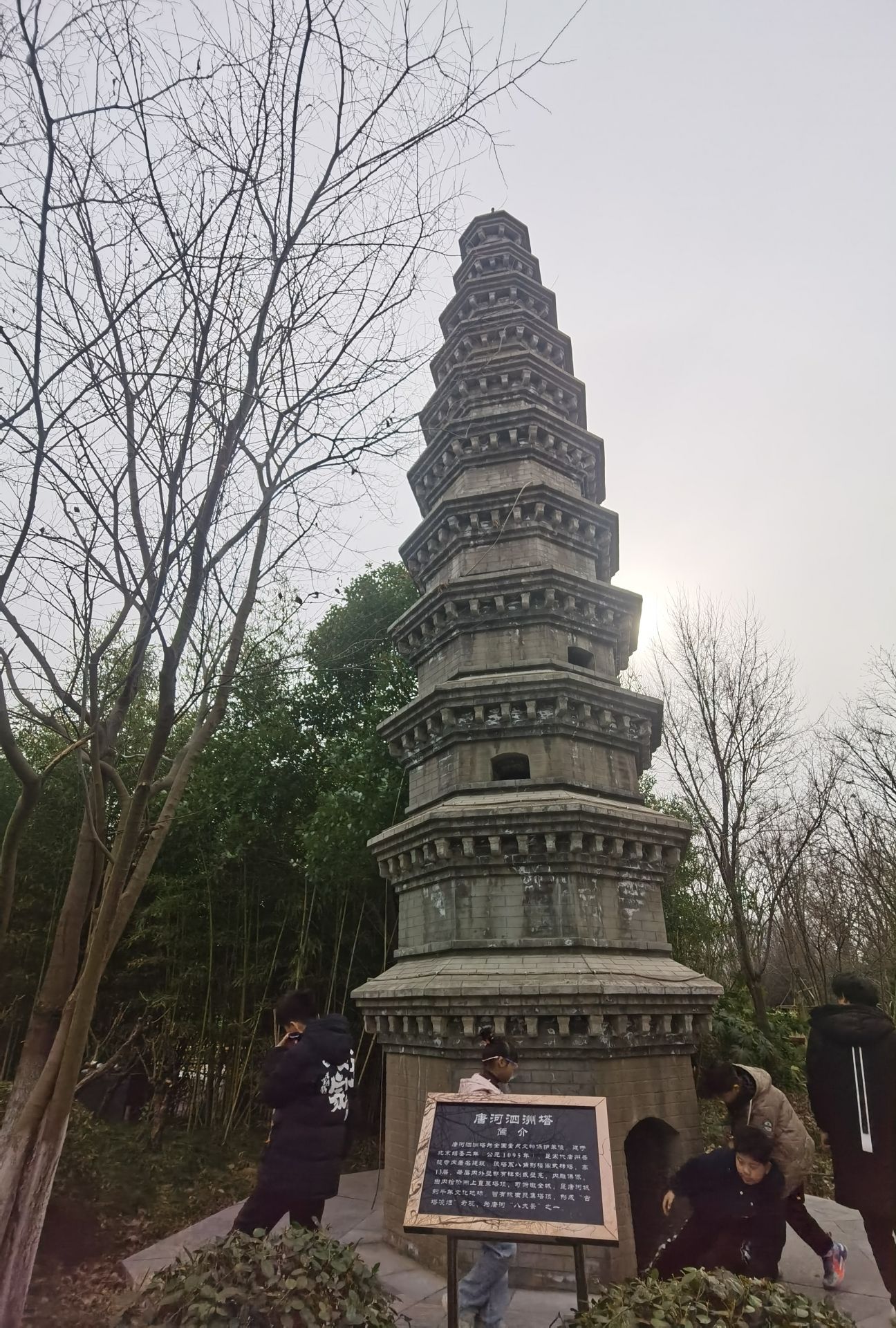 南阳世界月季大观园旅行图片 1