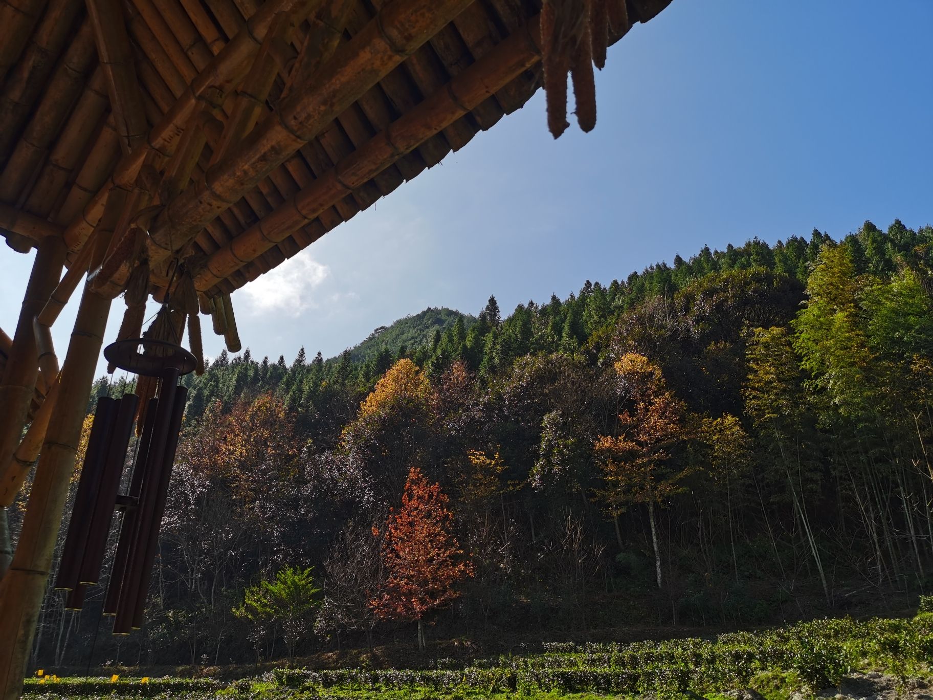 古溪星河旅游景区旅行图片 3
