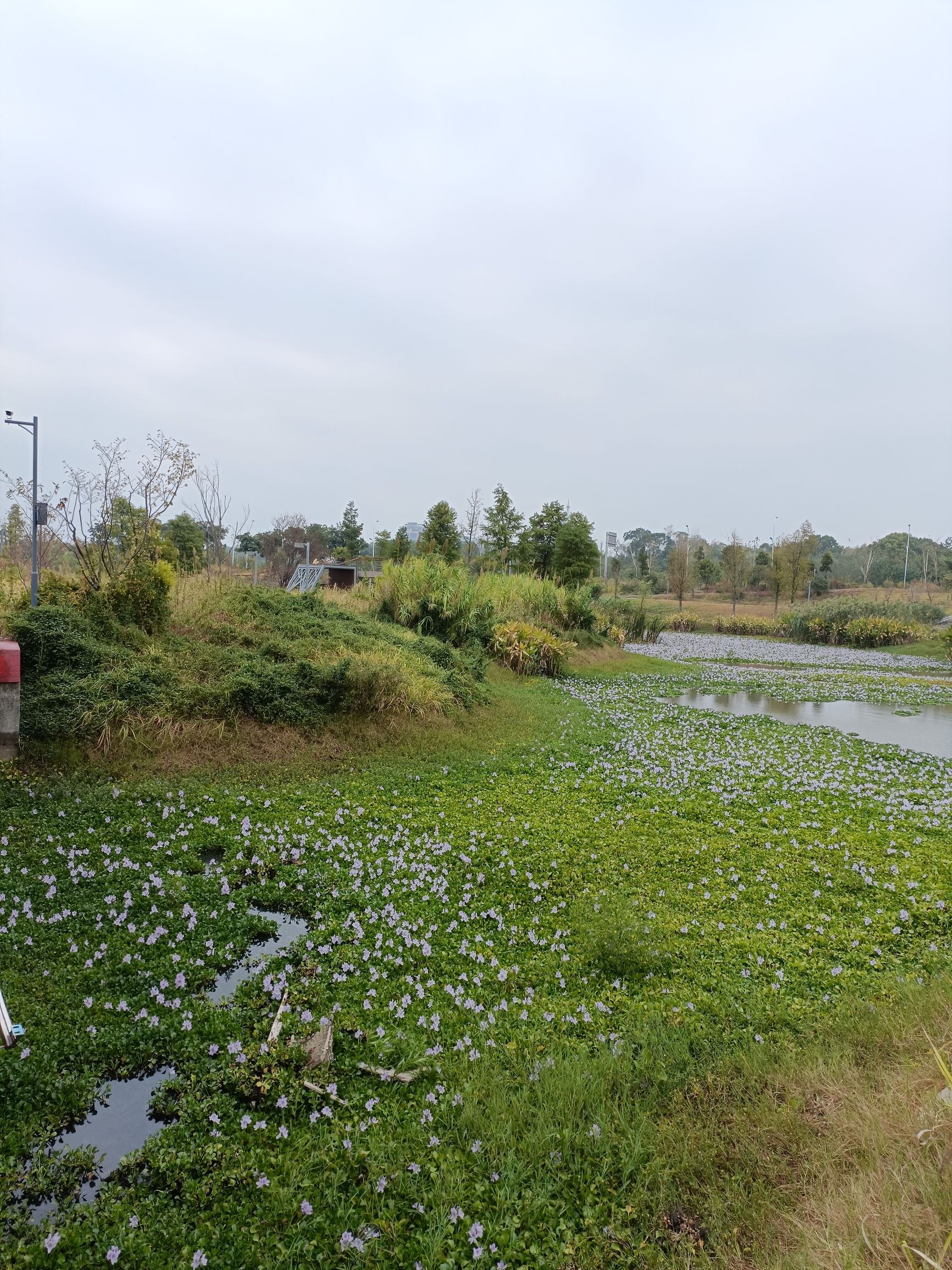 碧泉湖公园旅行图片 1