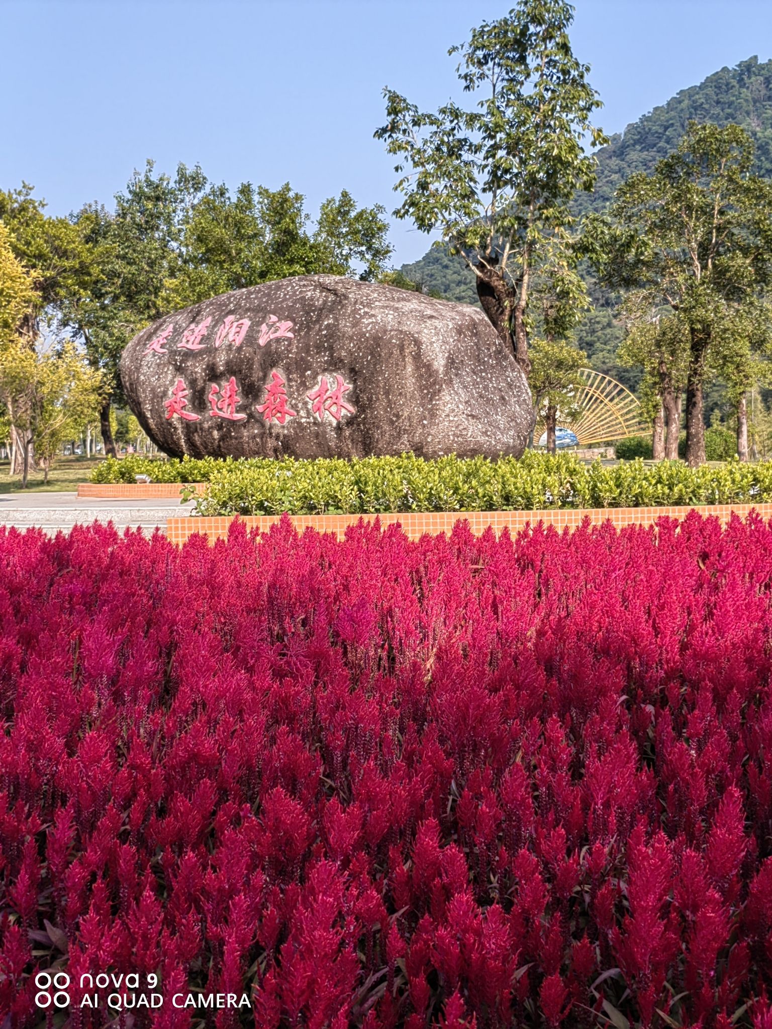 金鸡岭森林公园旅行图片 3