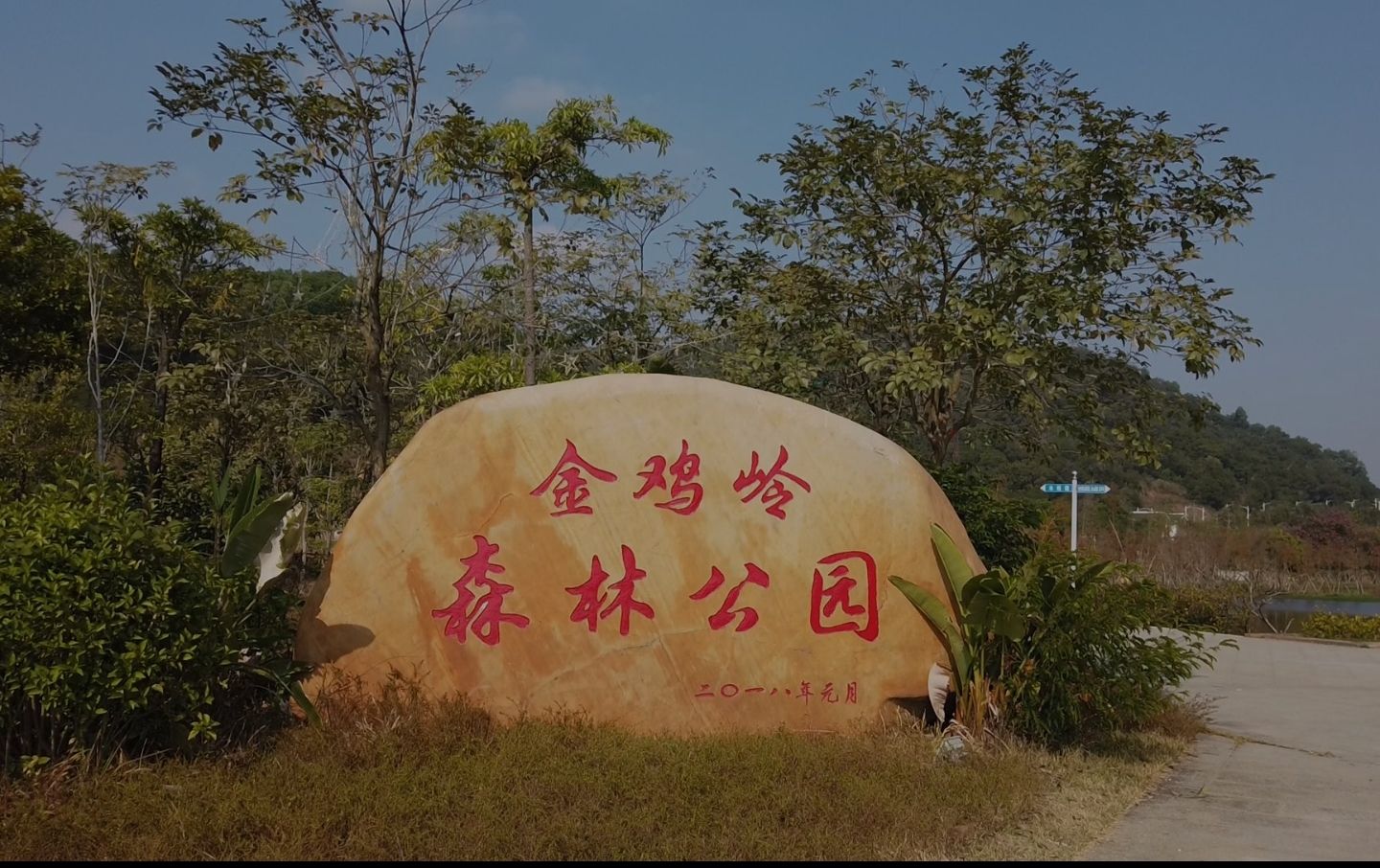 金鸡岭森林公园旅行图片 1