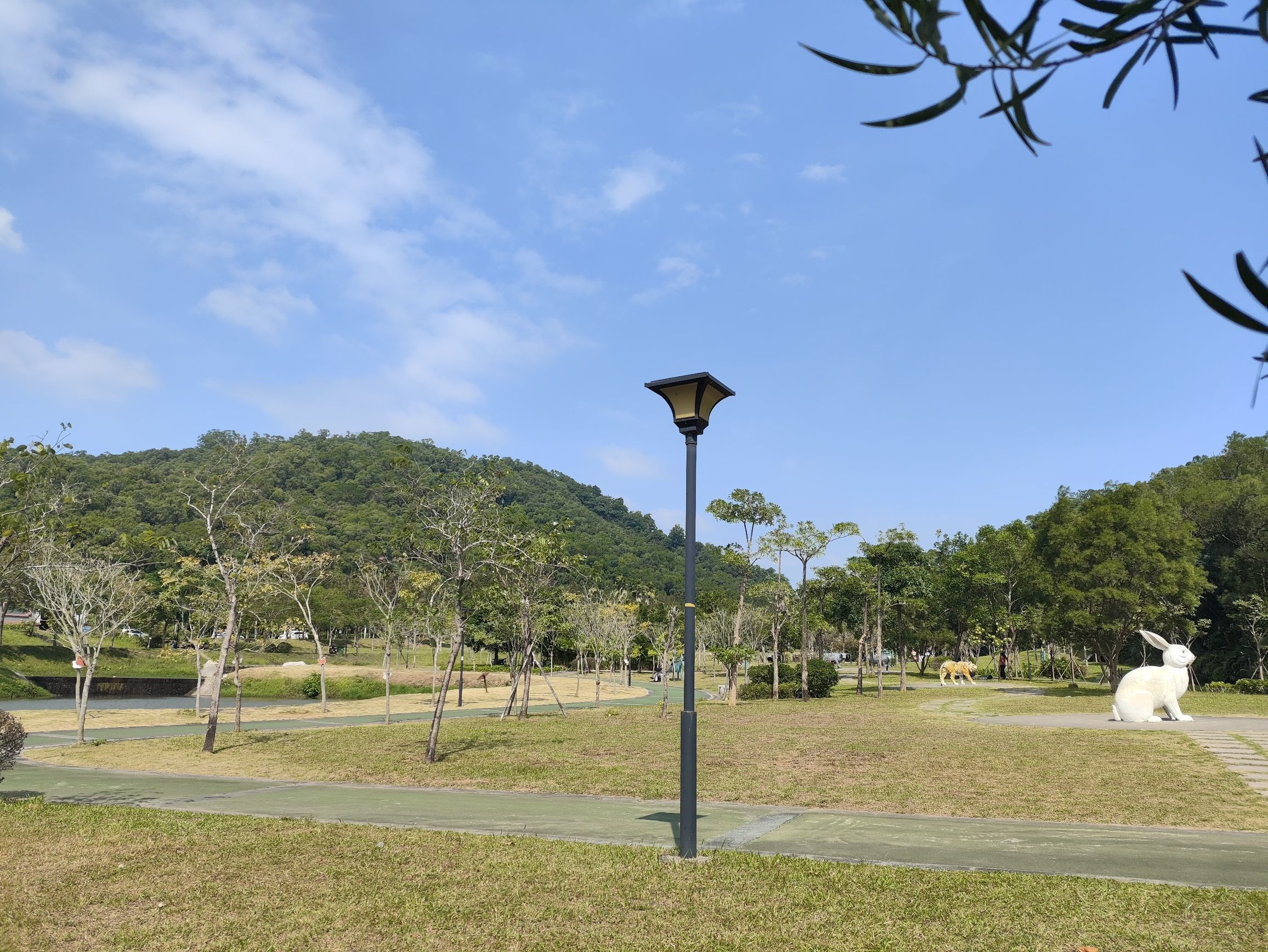 金鸡岭森林公园