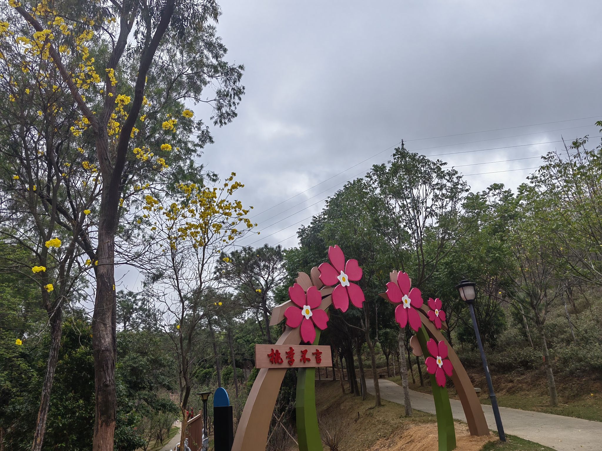 金鸡岭森林公园旅行图片 3