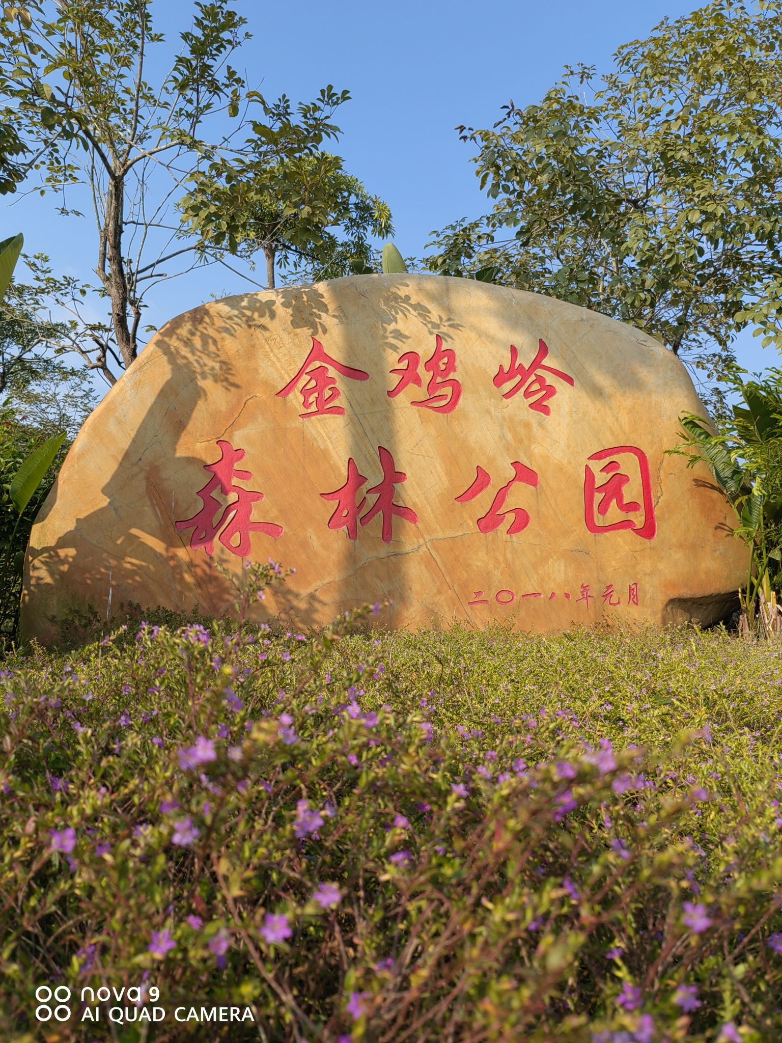 金鸡岭森林公园旅行图片 1