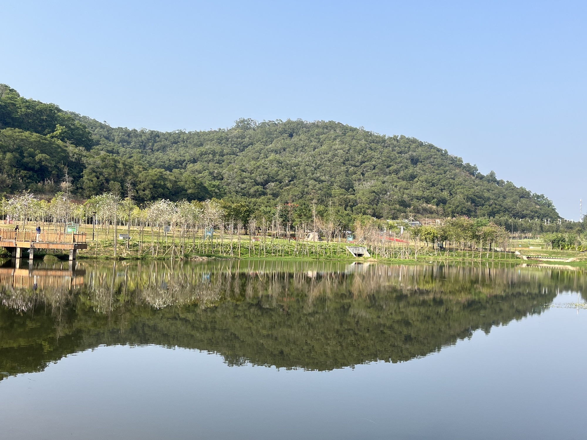 金鸡岭森林公园