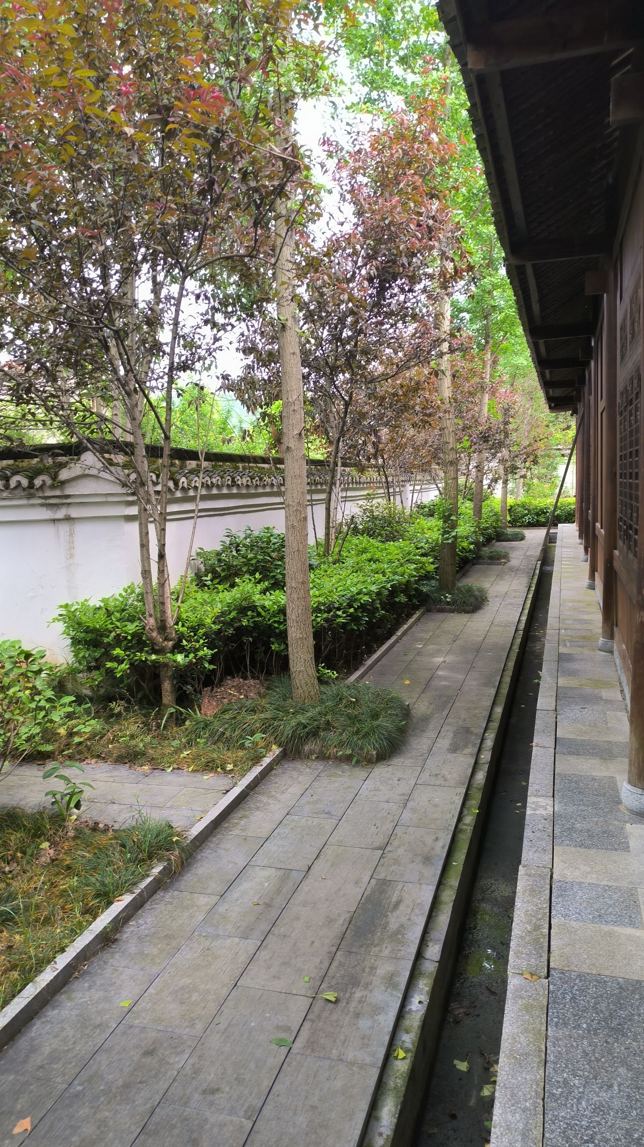 舒新城故居旅行图片 1